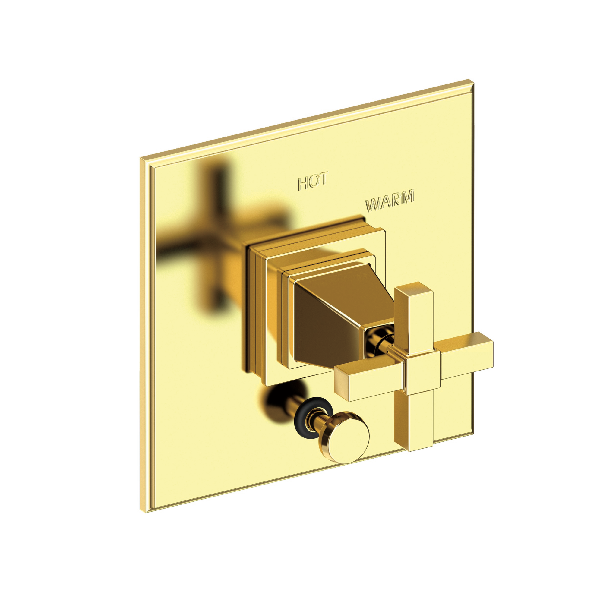 Newport Brass Malvina® Balanced Pressure Tub & Shower Diverter Plate with Handle