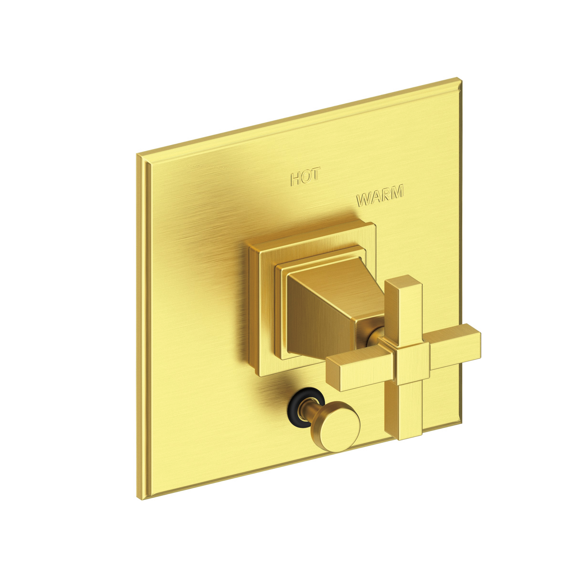 Newport Brass Malvina® Balanced Pressure Tub & Shower Diverter Plate with Handle