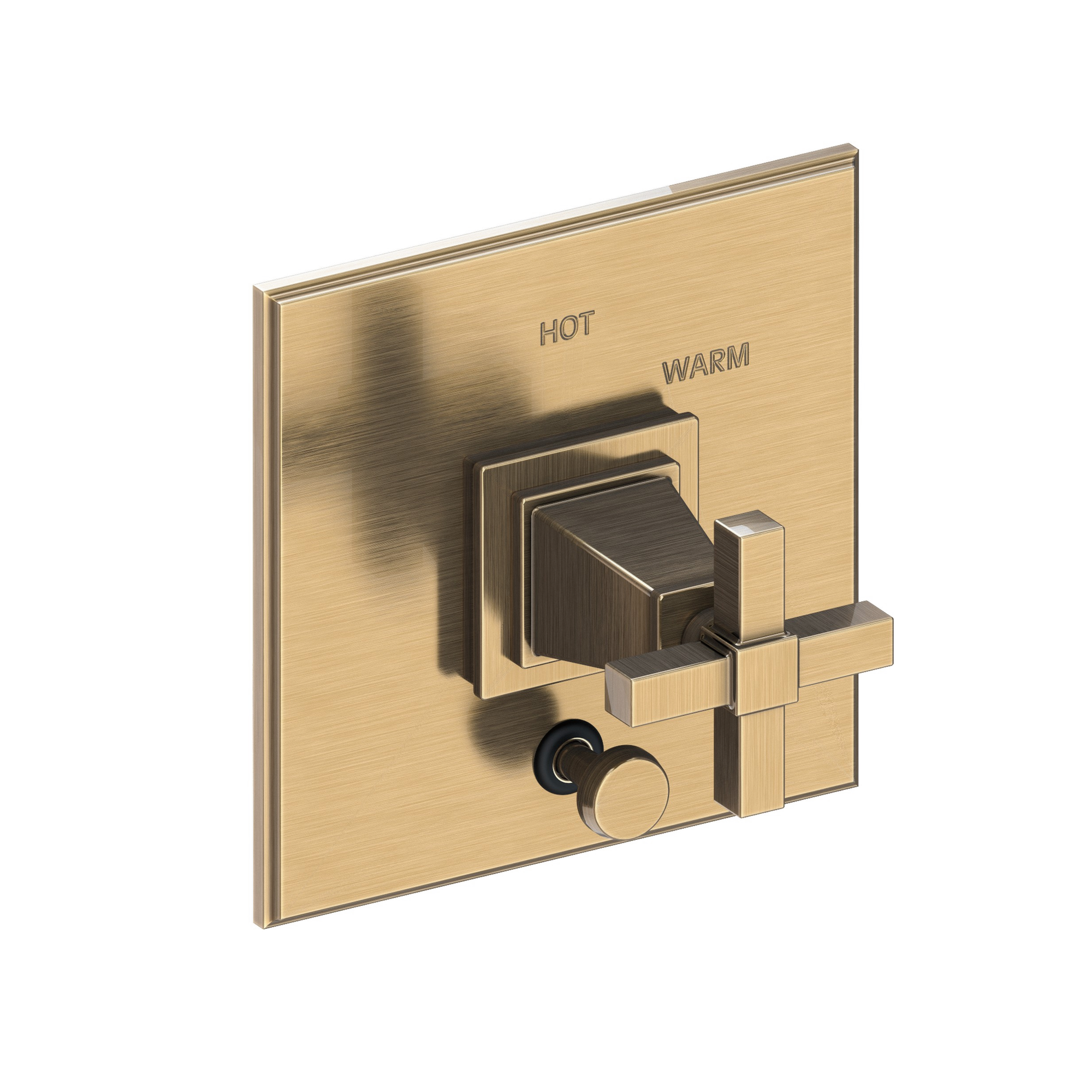 Newport Brass Malvina® Balanced Pressure Tub & Shower Diverter Plate with Handle