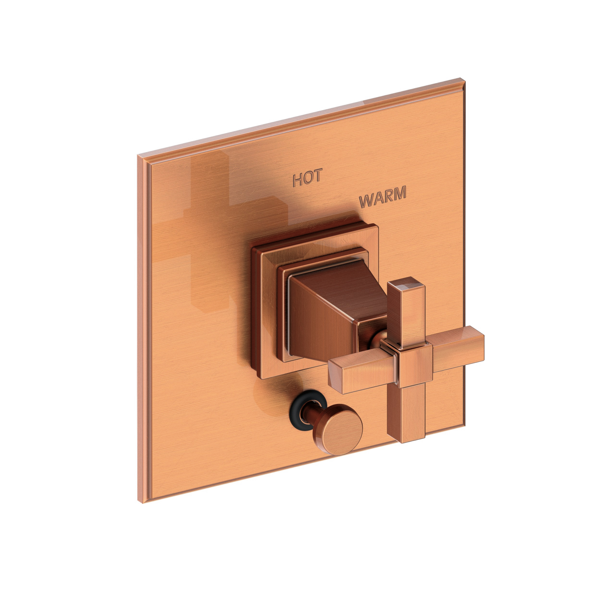 Newport Brass Malvina® Balanced Pressure Tub & Shower Diverter Plate with Handle