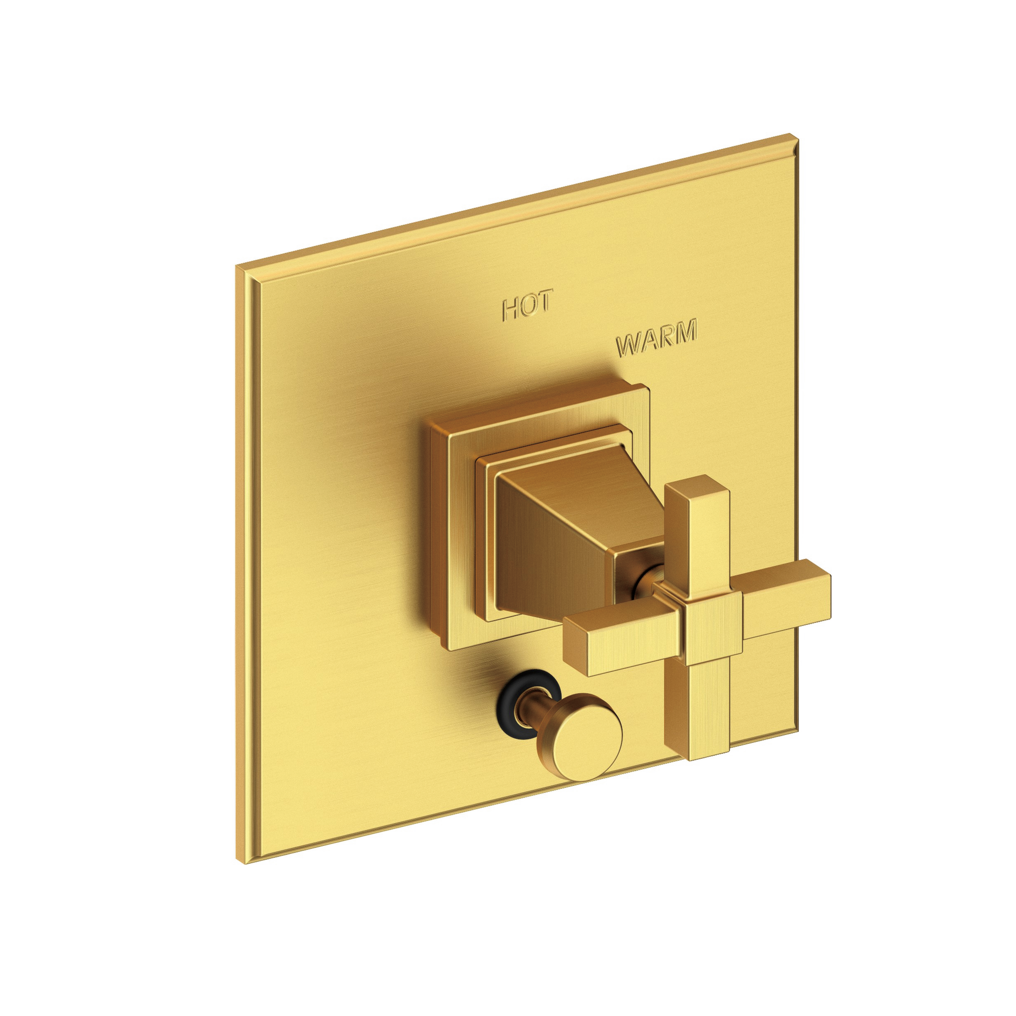 Newport Brass Malvina® Balanced Pressure Tub & Shower Diverter Plate with Handle