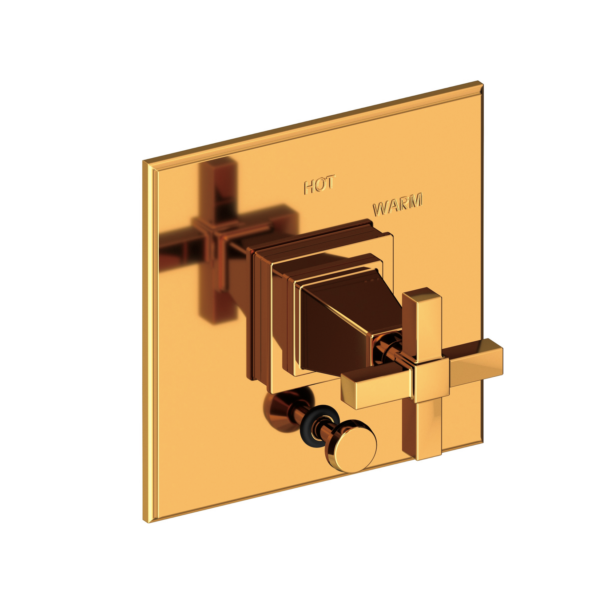 Newport Brass Malvina® Balanced Pressure Tub & Shower Diverter Plate with Handle
