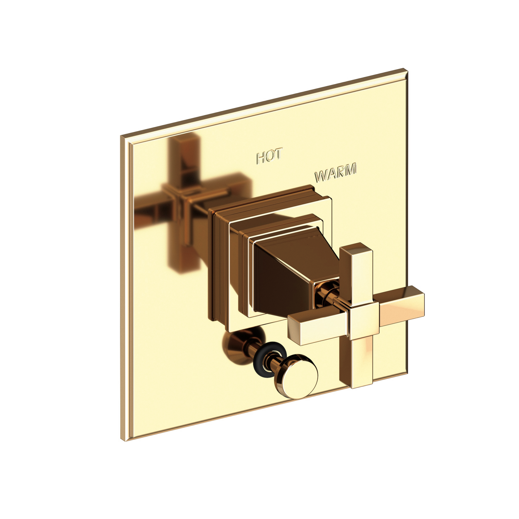 Newport Brass Malvina® Balanced Pressure Tub & Shower Diverter Plate with Handle