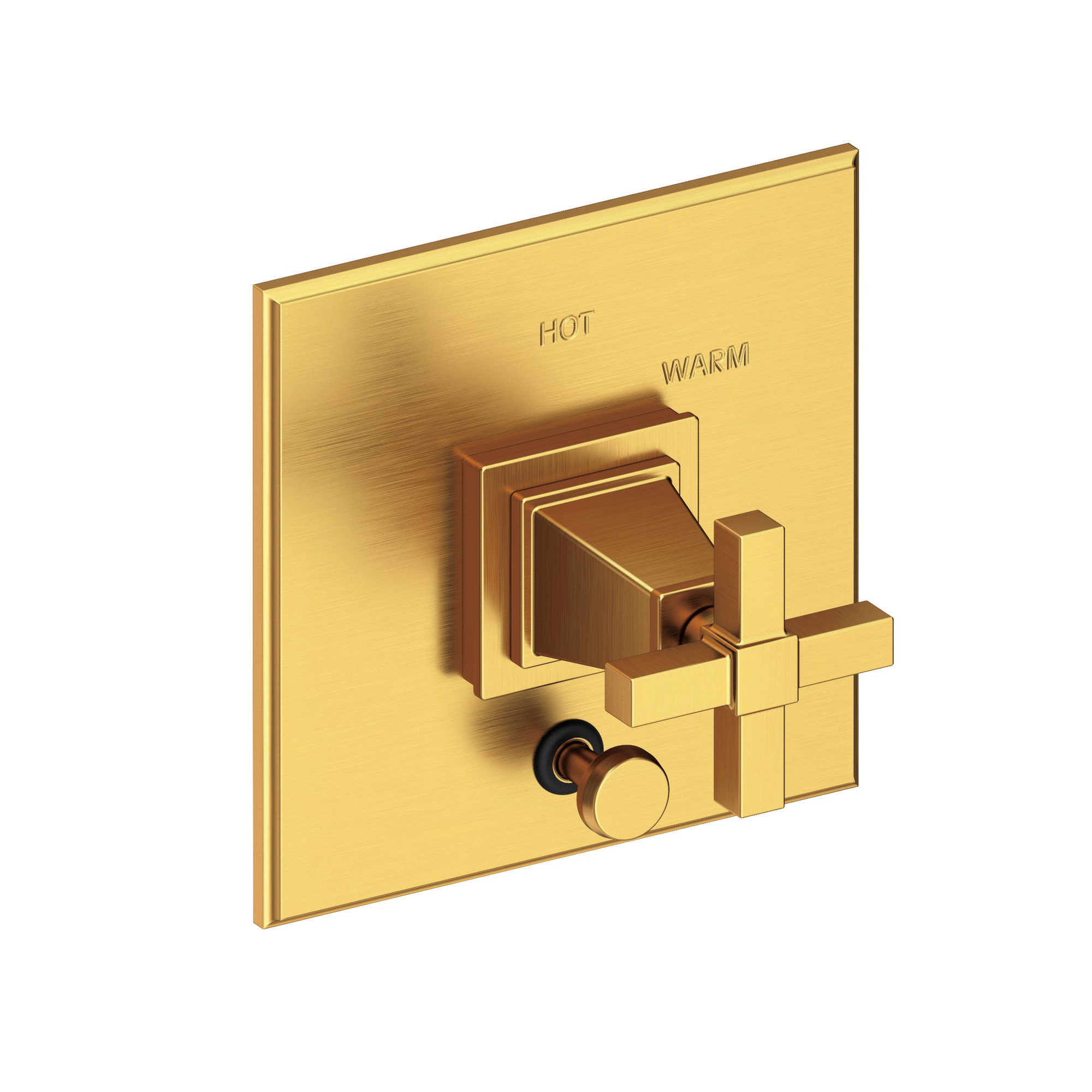 Newport Brass Malvina® Balanced Pressure Tub & Shower Diverter Plate with Handle