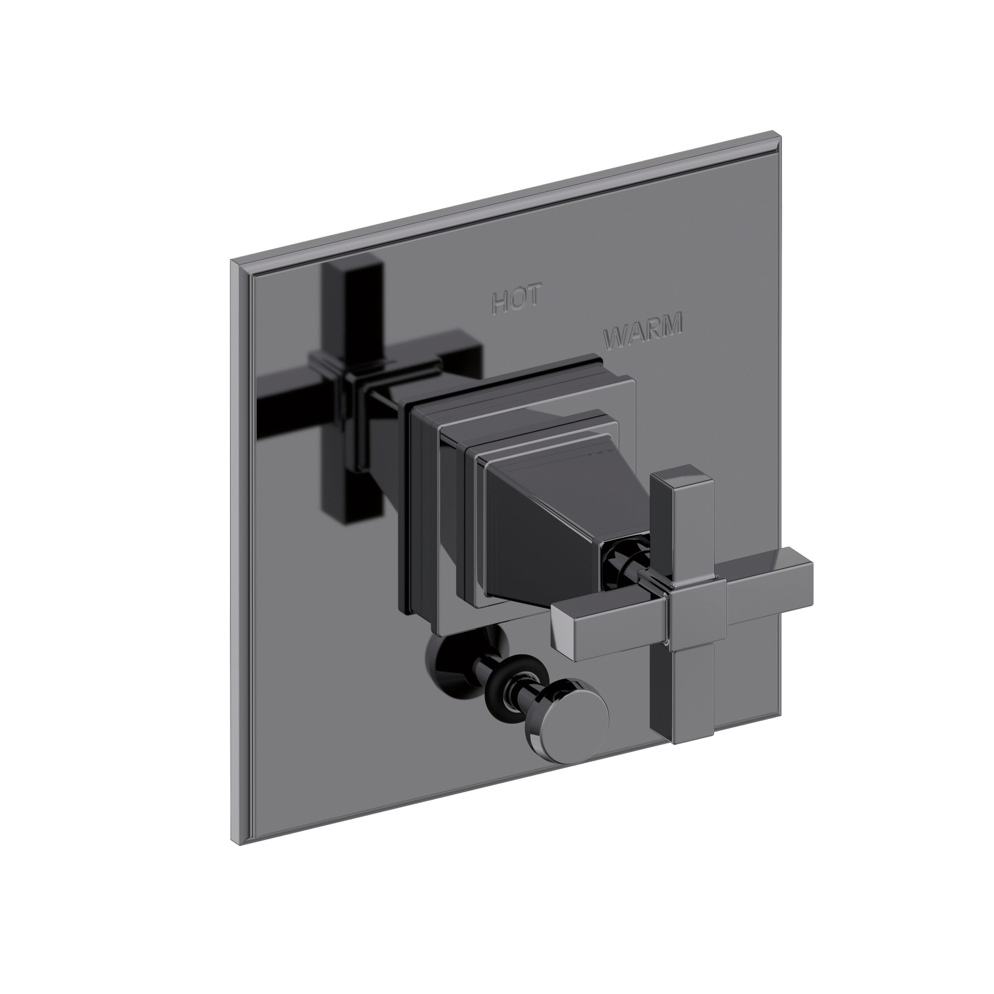 Newport Brass Malvina® Balanced Pressure Tub & Shower Diverter Plate with Handle