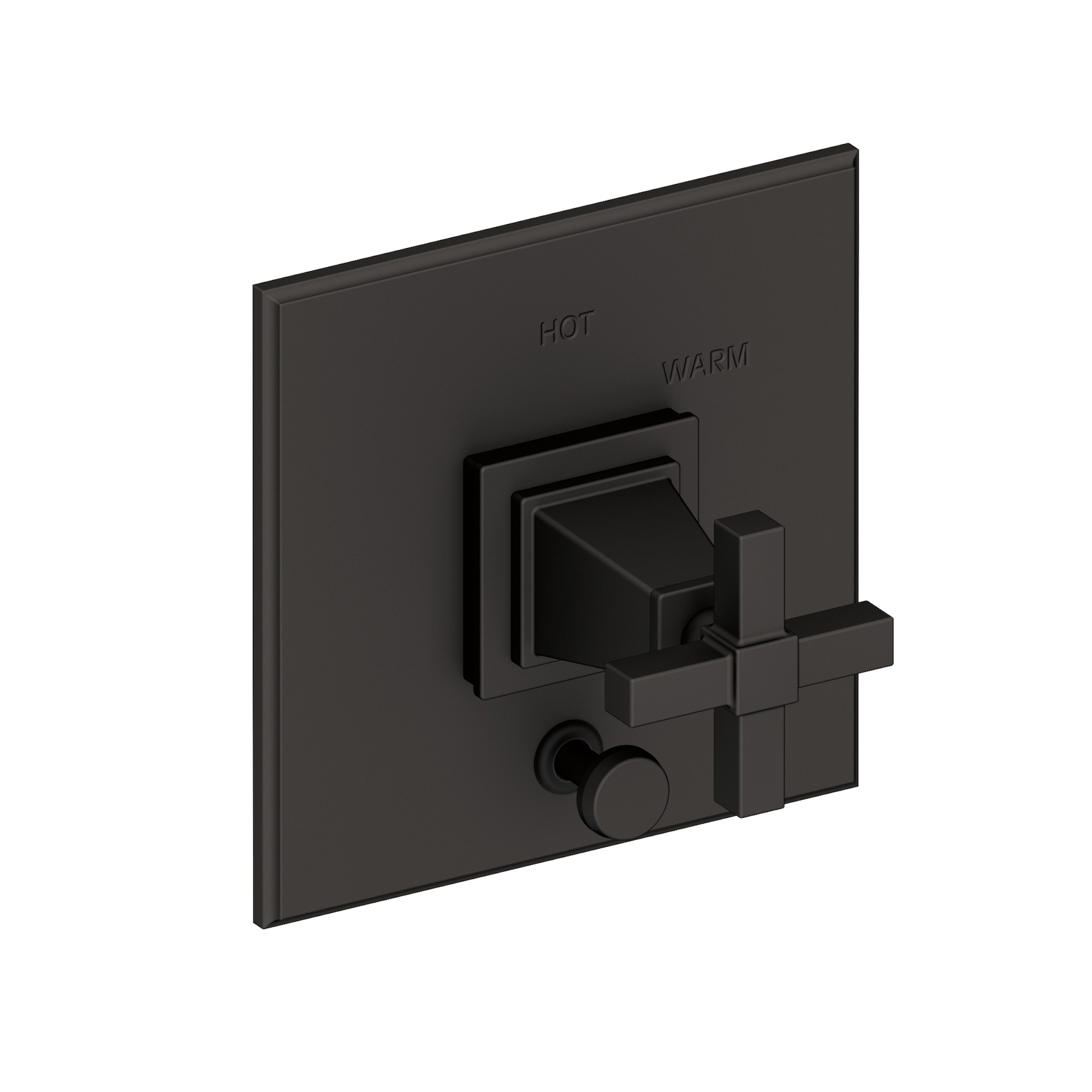 Newport Brass Malvina® Balanced Pressure Tub & Shower Diverter Plate with Handle