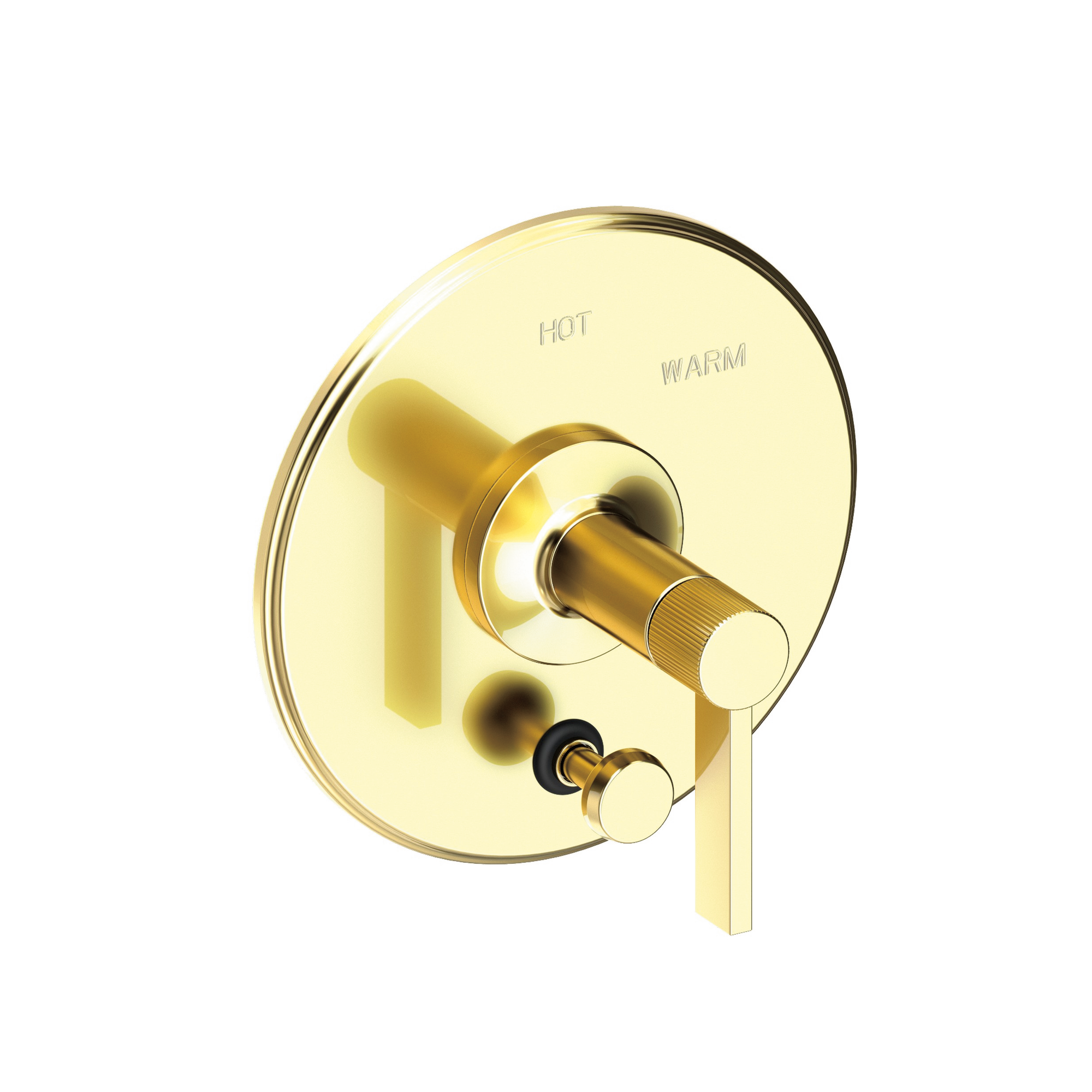 Newport Brass Pardees® Balanced Pressure Tub & Shower Diverter Plate with Handle