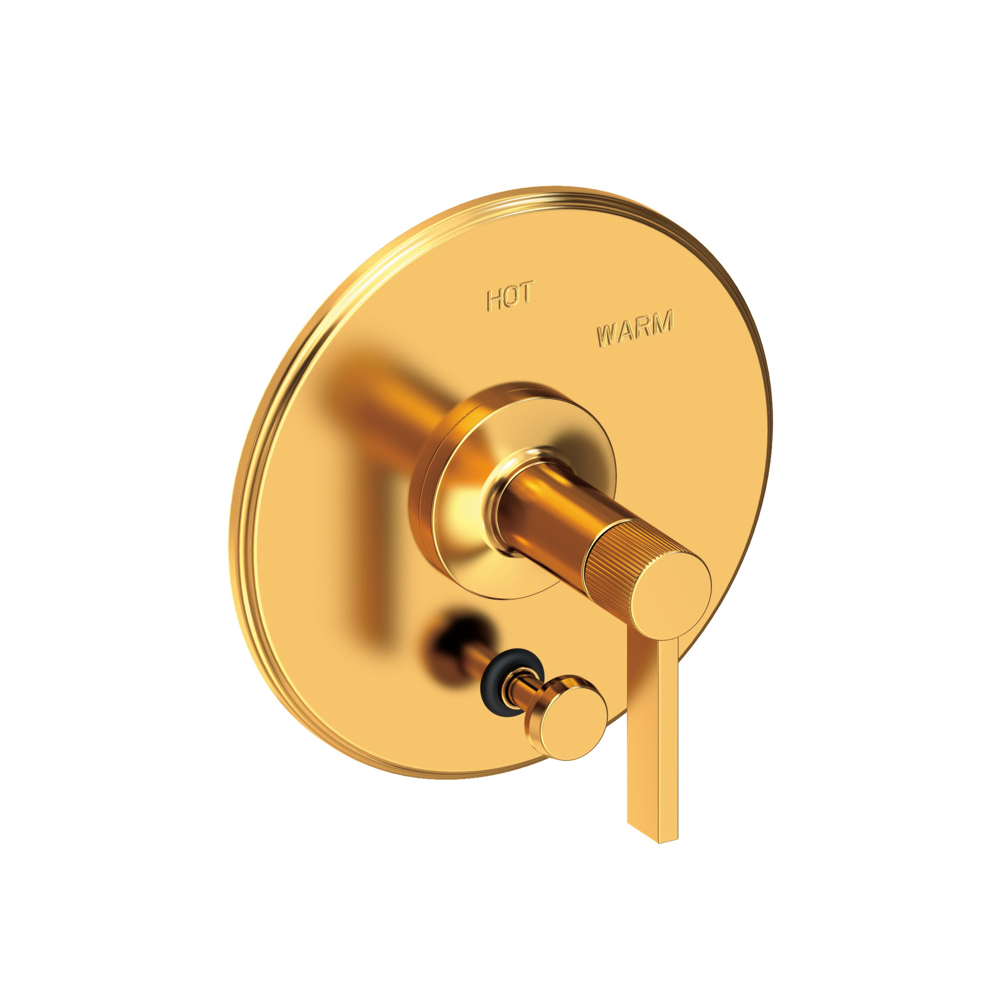 Newport Brass Pardees® Balanced Pressure Tub & Shower Diverter Plate with Handle