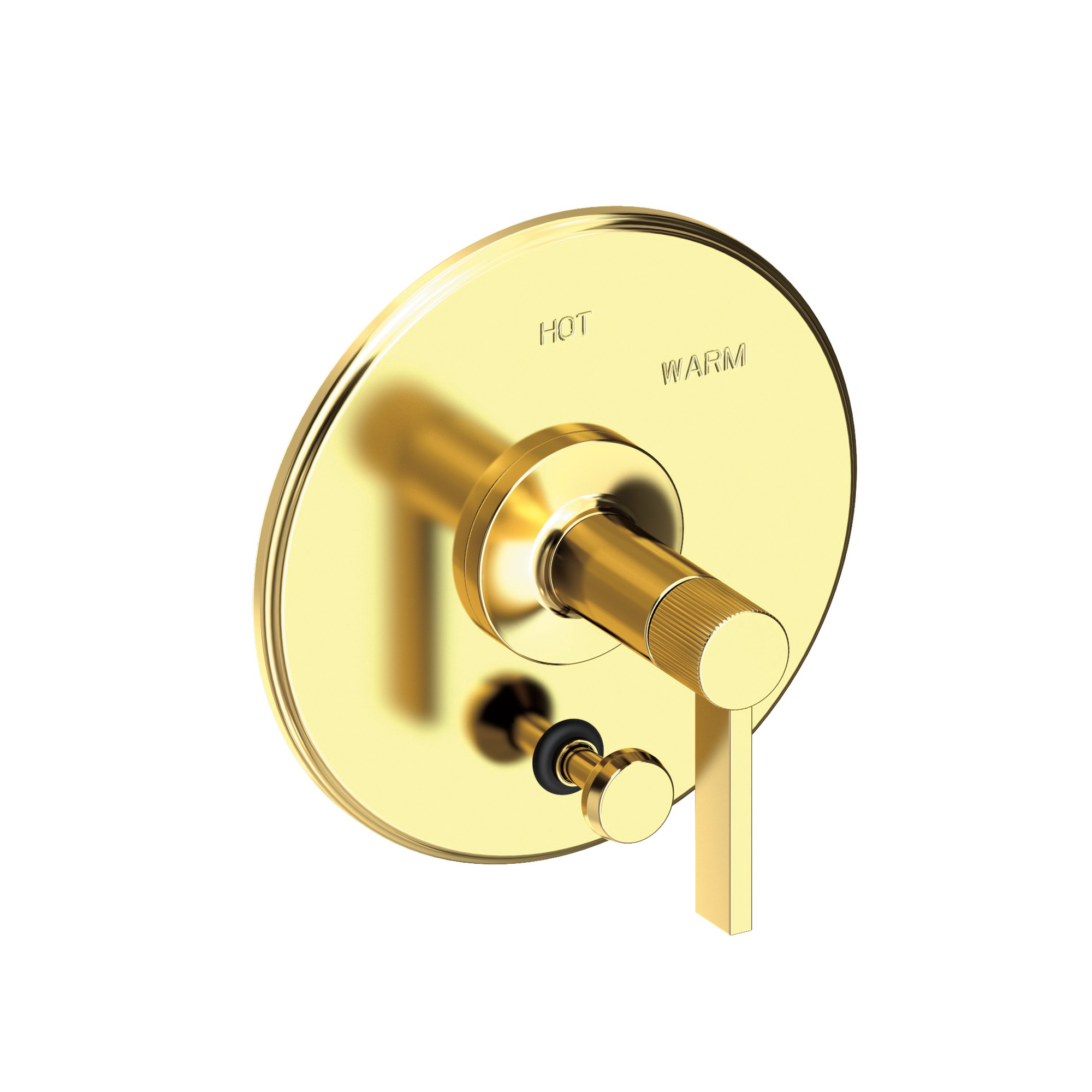 Newport Brass Pardees® Balanced Pressure Tub & Shower Diverter Plate with Handle