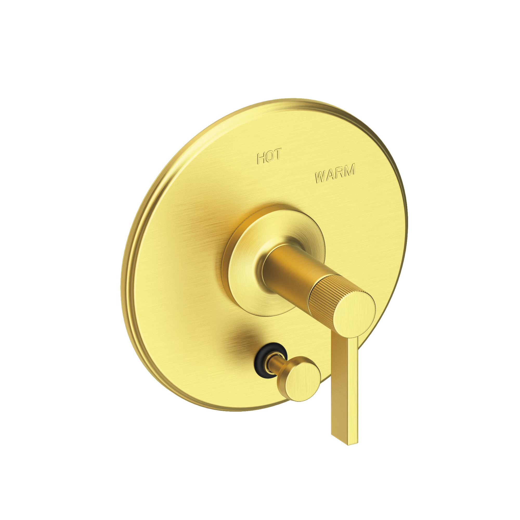 Newport Brass Pardees® Balanced Pressure Tub & Shower Diverter Plate with Handle