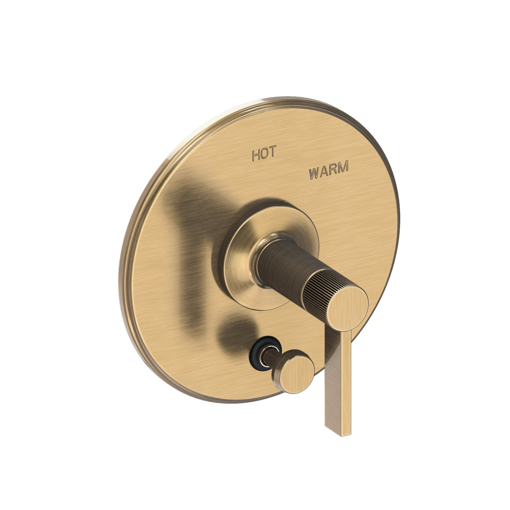 Newport Brass Pardees® Balanced Pressure Tub & Shower Diverter Plate with Handle