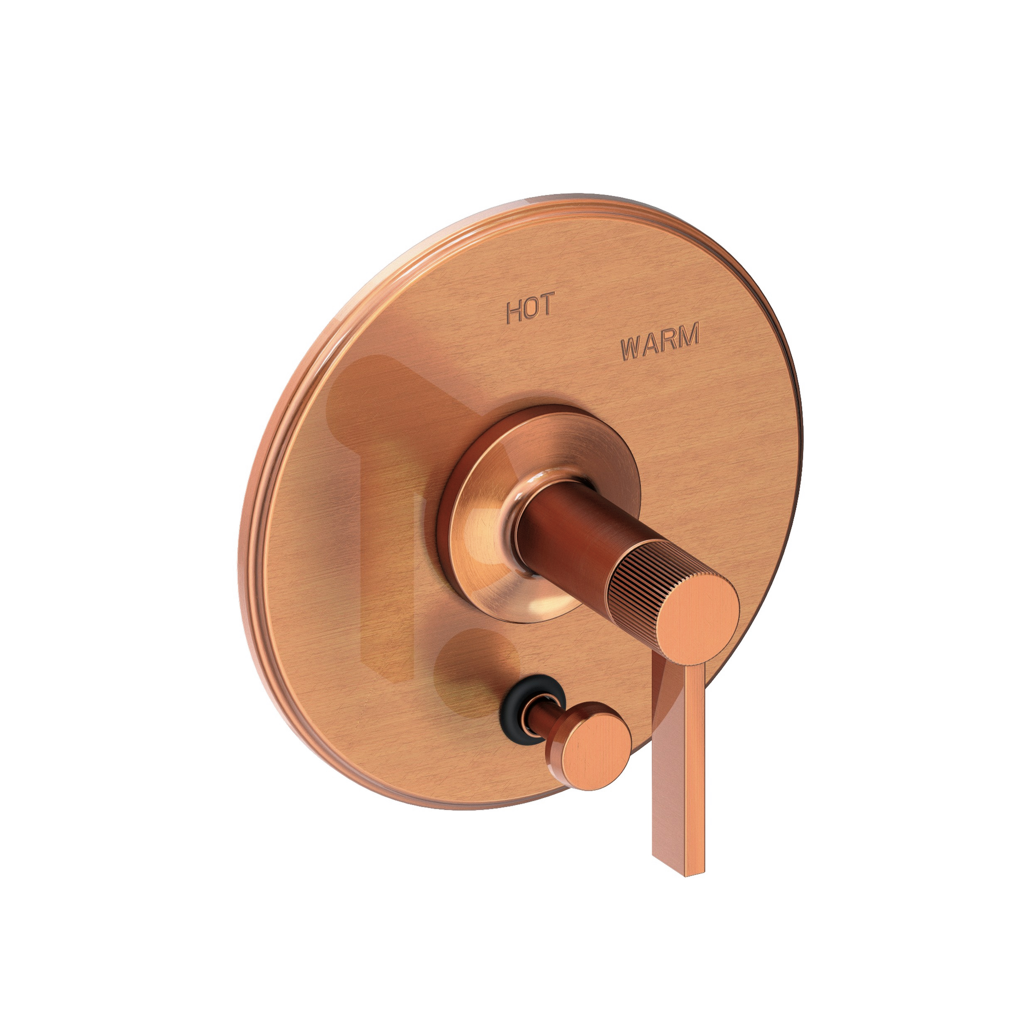 Newport Brass Pardees® Balanced Pressure Tub & Shower Diverter Plate with Handle