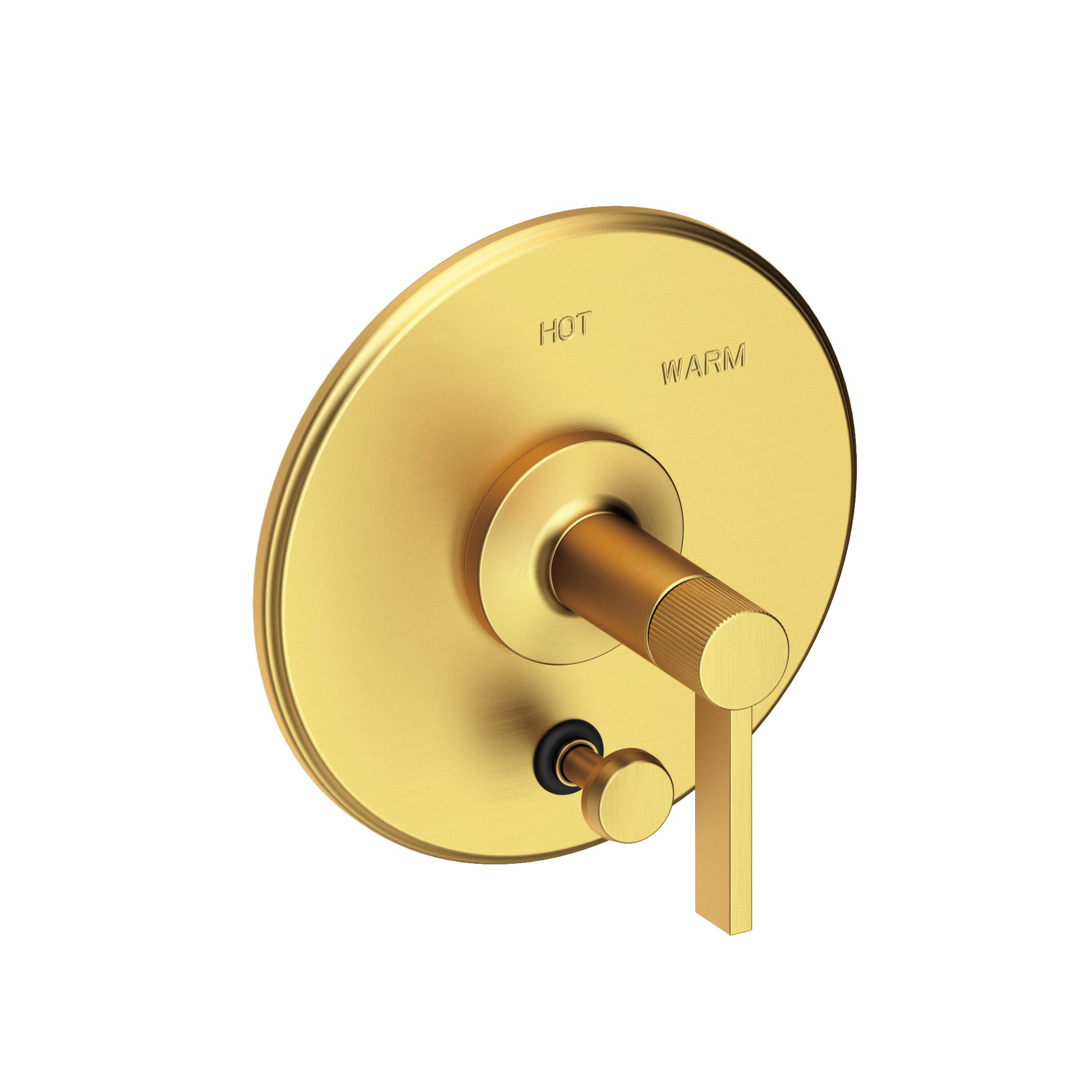 Newport Brass Pardees® Balanced Pressure Tub & Shower Diverter Plate with Handle