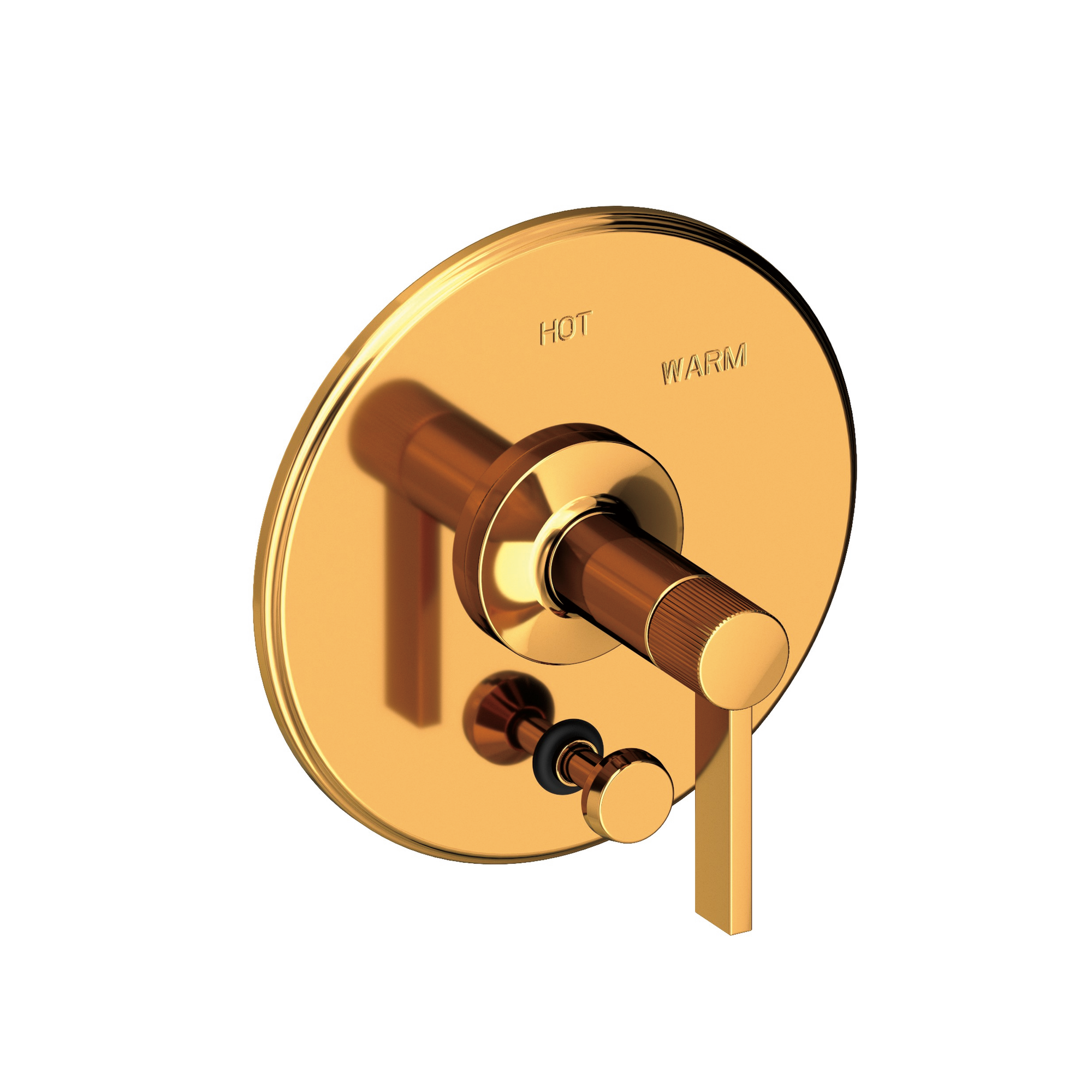 Newport Brass Pardees® Balanced Pressure Tub & Shower Diverter Plate with Handle