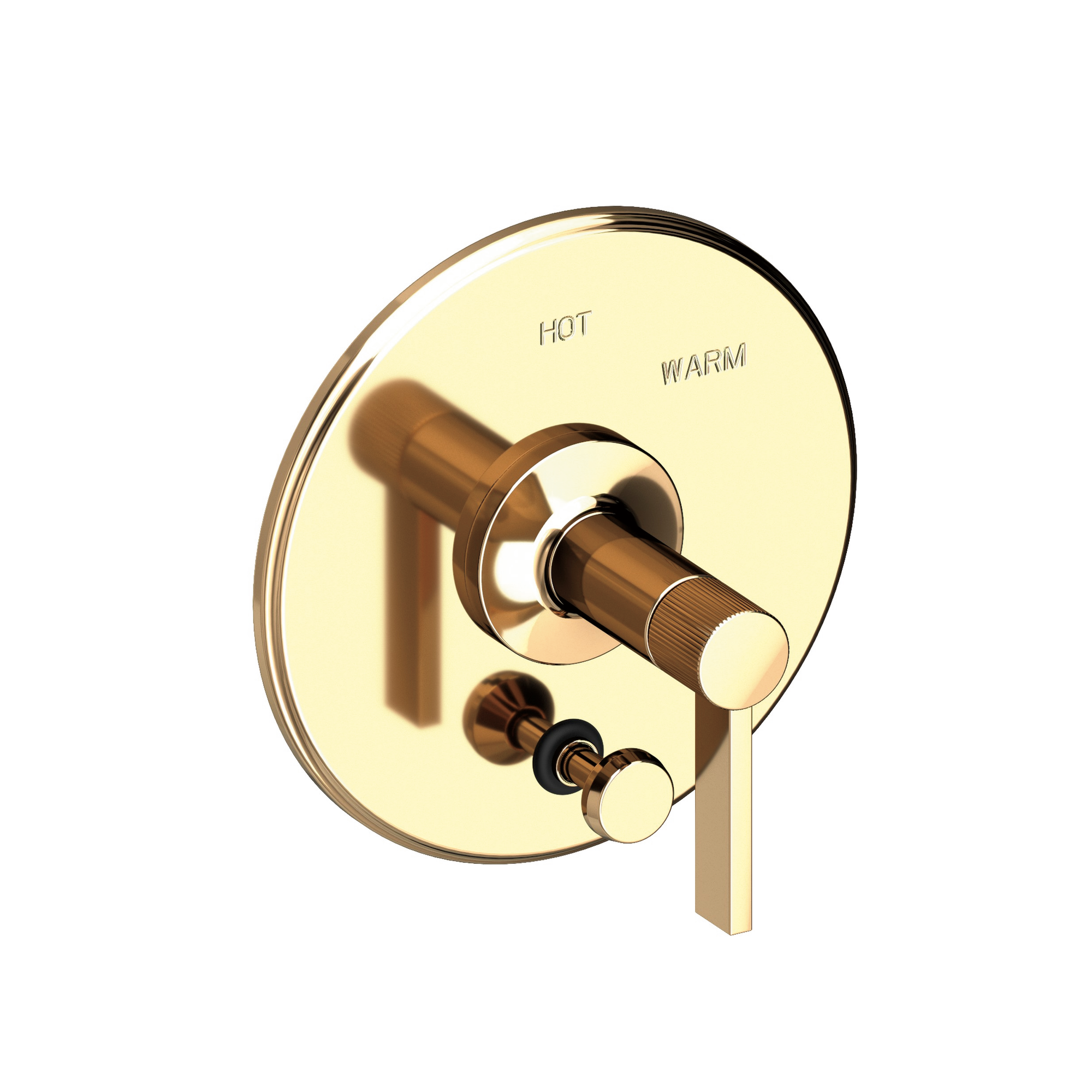 Newport Brass Pardees® Balanced Pressure Tub & Shower Diverter Plate with Handle
