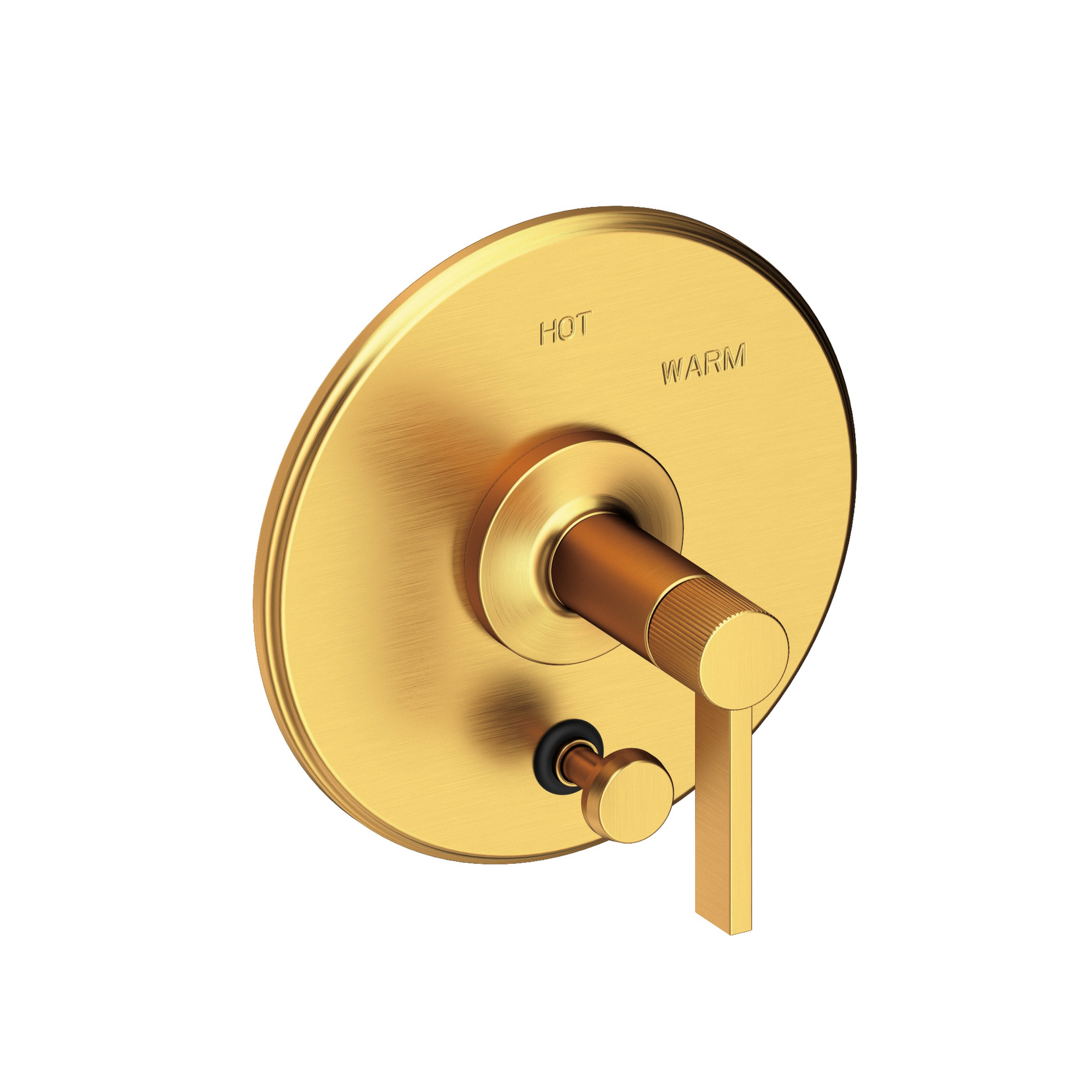 Newport Brass Pardees® Balanced Pressure Tub & Shower Diverter Plate with Handle