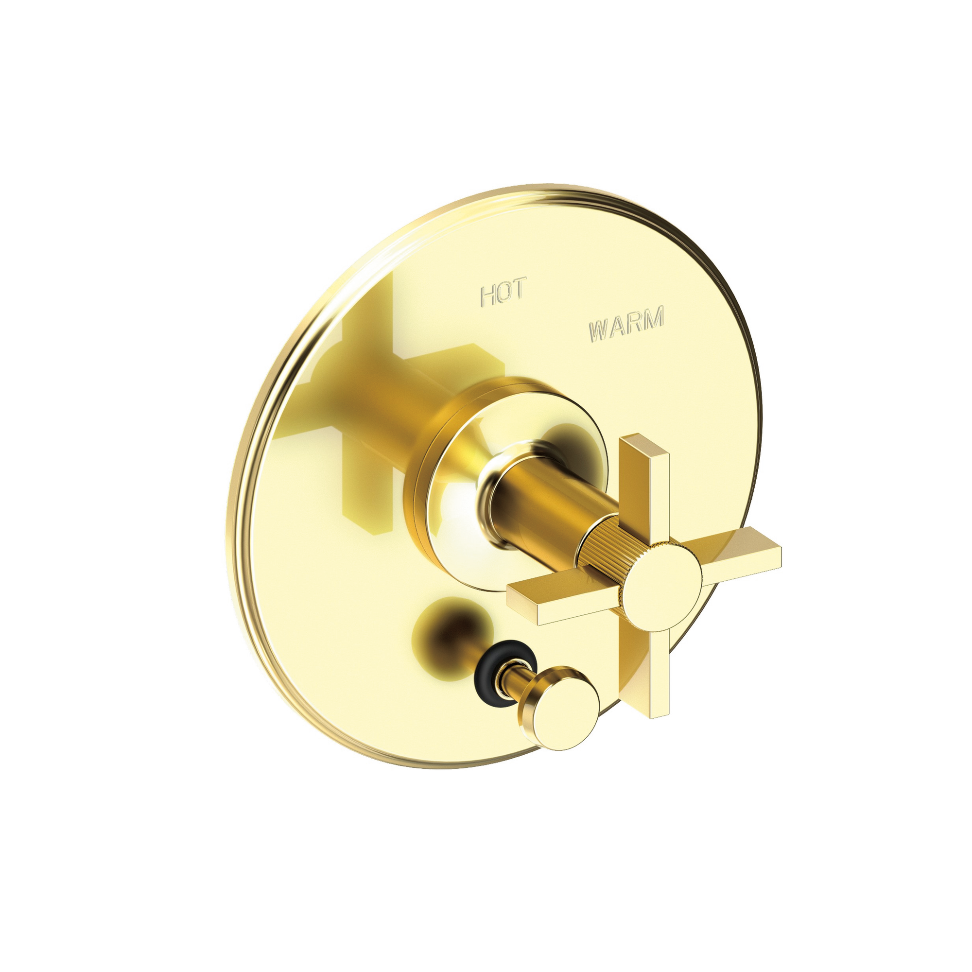 Newport Brass Pardees® Balanced Pressure Tub & Shower Diverter Plate with Handle