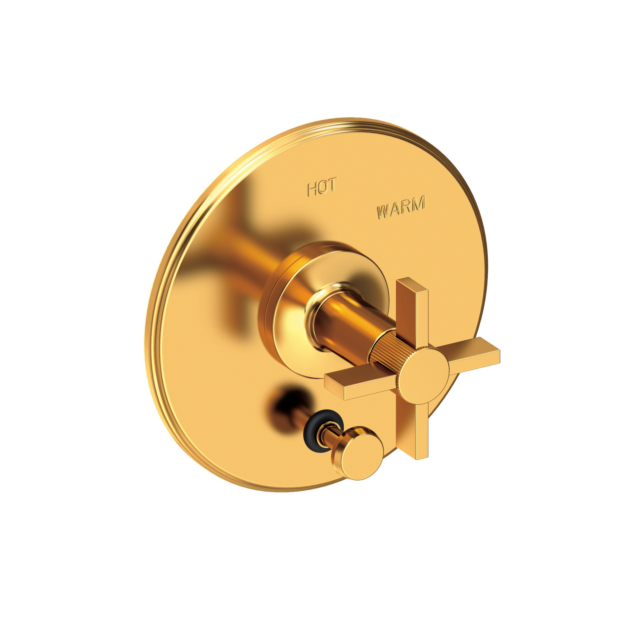 Newport Brass Pardees® Balanced Pressure Tub & Shower Diverter Plate with Handle