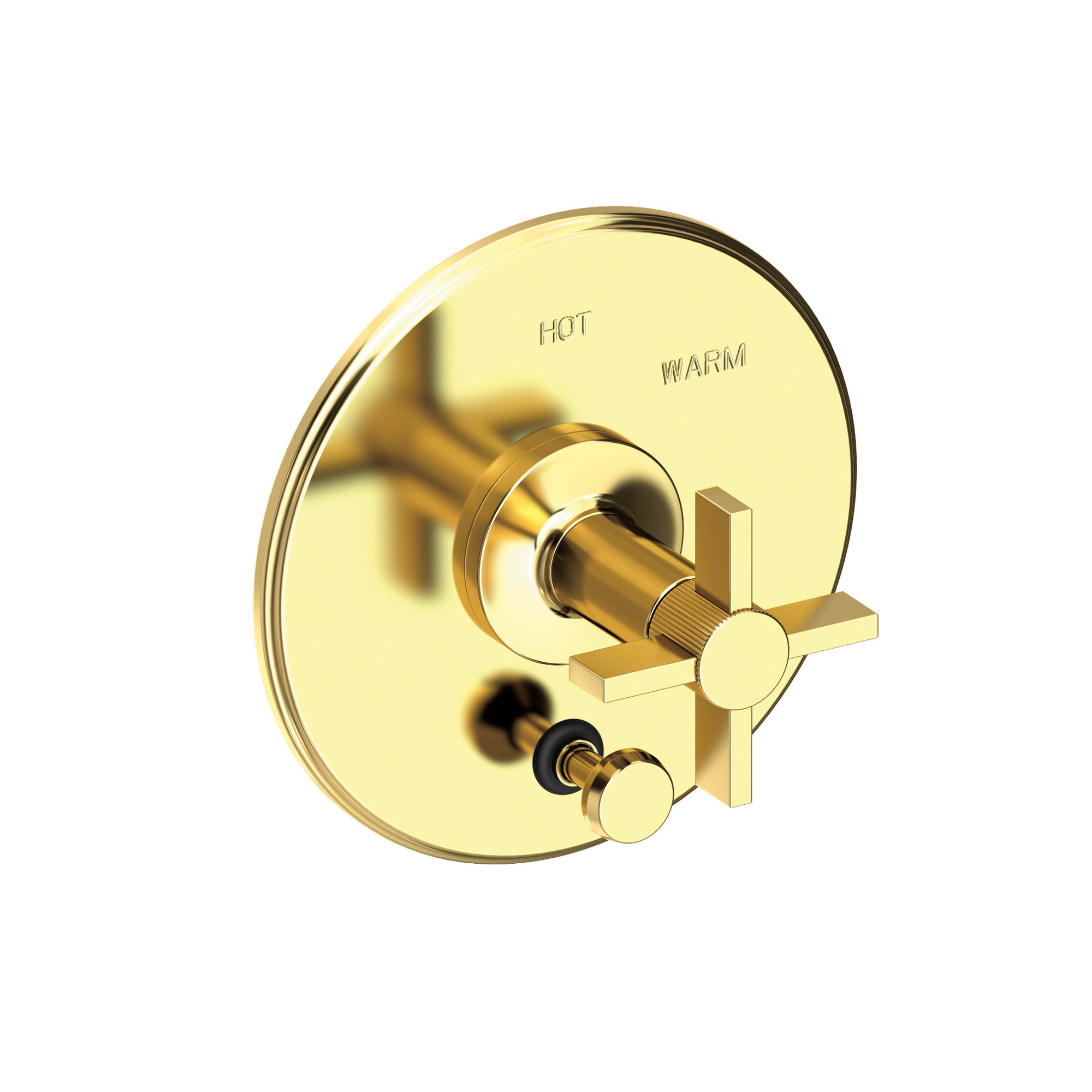 Newport Brass Pardees® Balanced Pressure Tub & Shower Diverter Plate with Handle