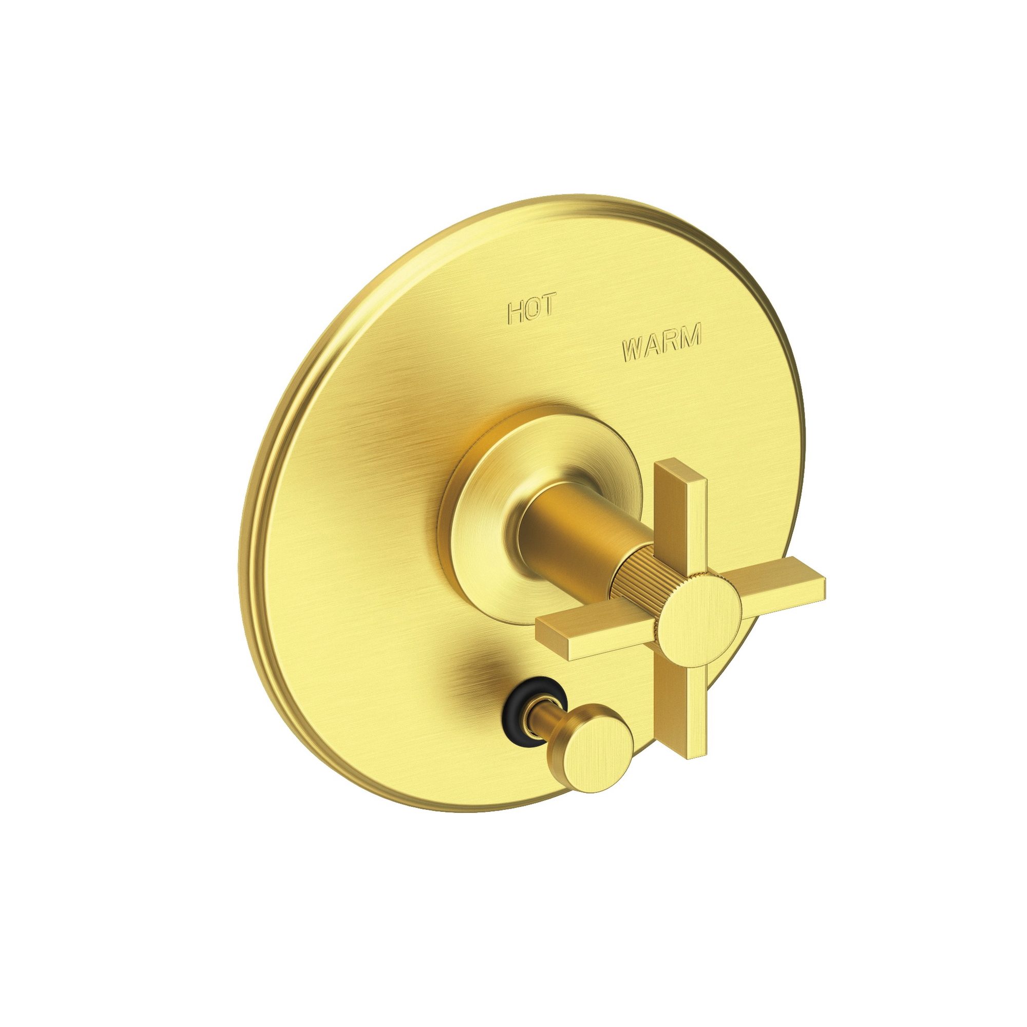 Newport Brass Pardees® Balanced Pressure Tub & Shower Diverter Plate with Handle