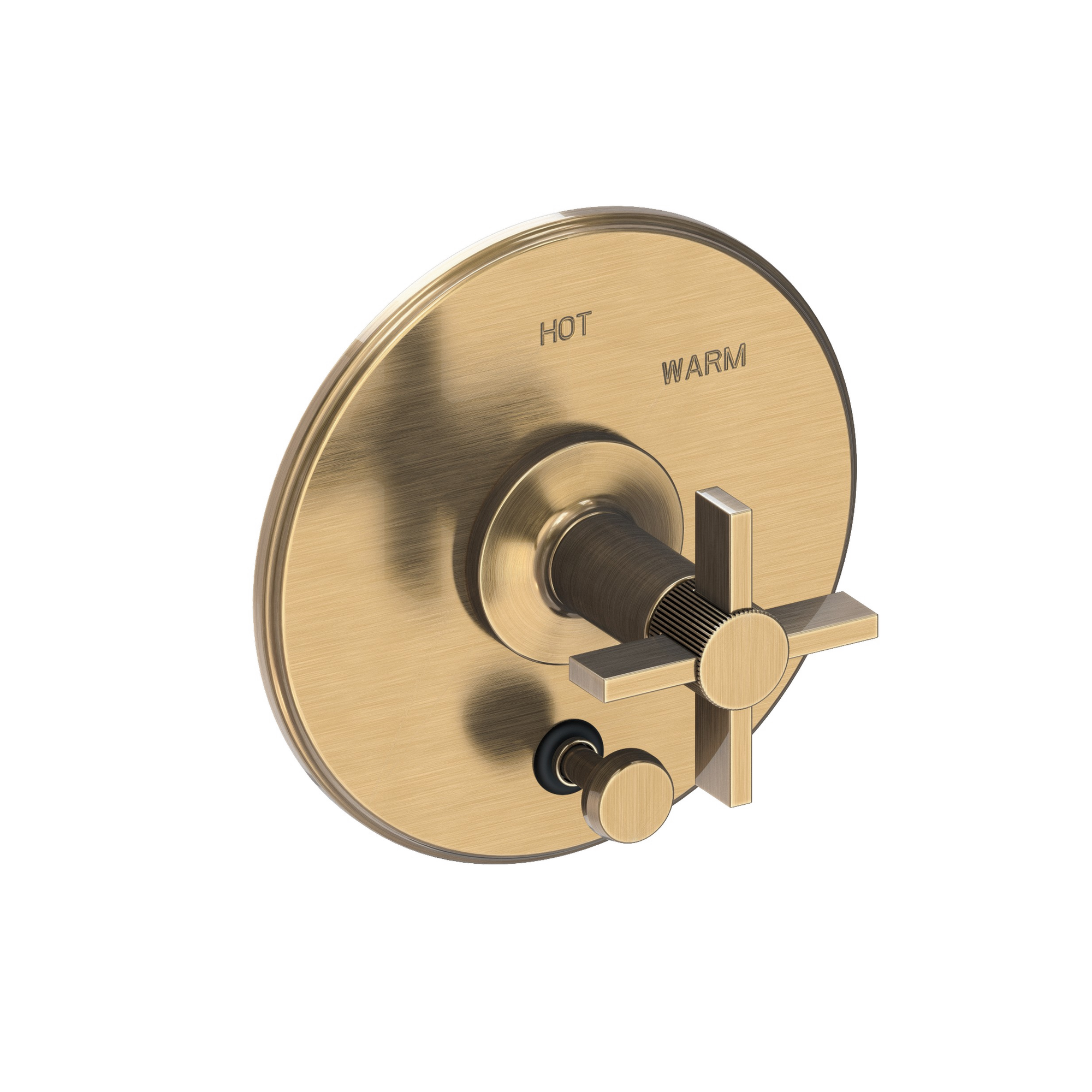 Newport Brass Pardees® Balanced Pressure Tub & Shower Diverter Plate with Handle