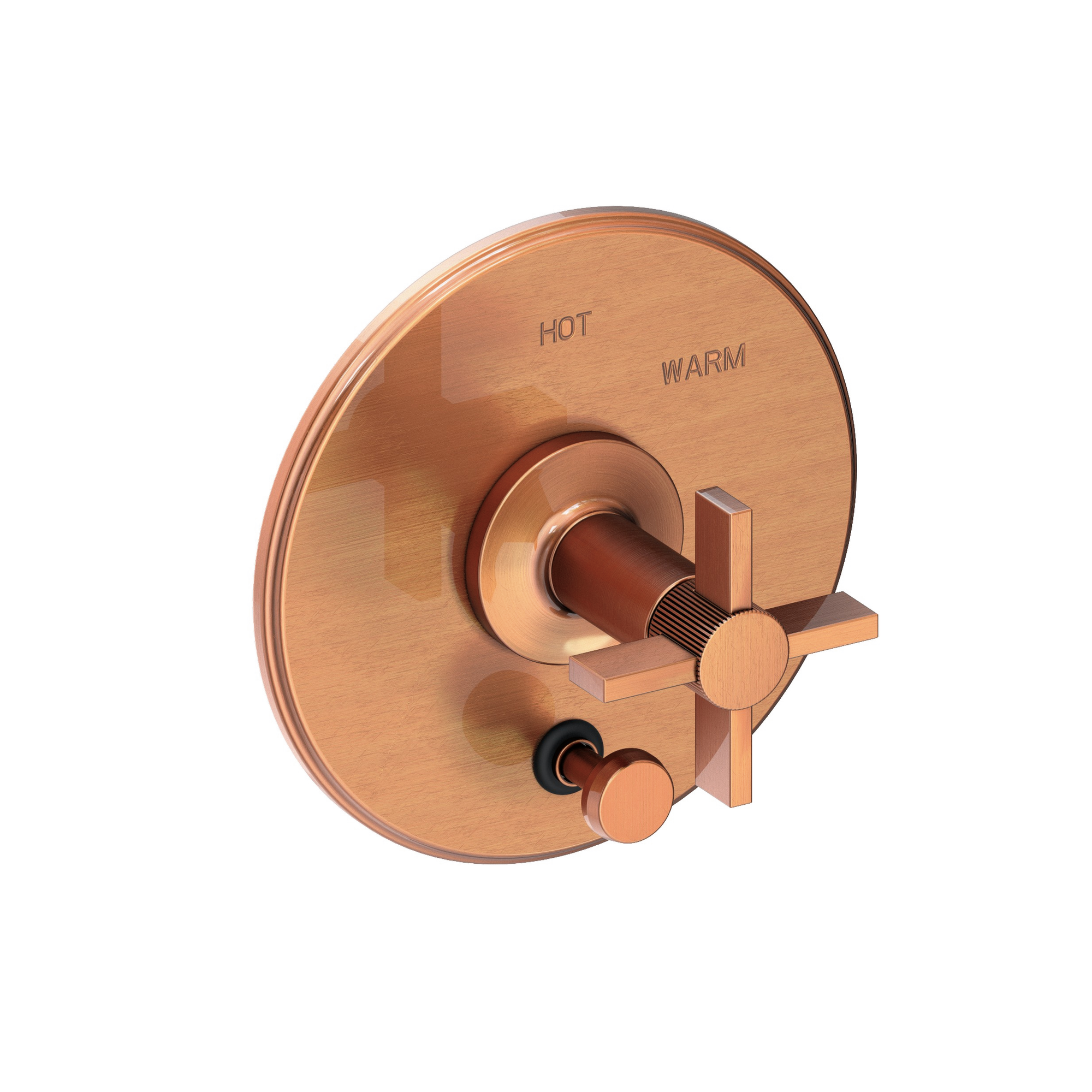 Newport Brass Pardees® Balanced Pressure Tub & Shower Diverter Plate with Handle