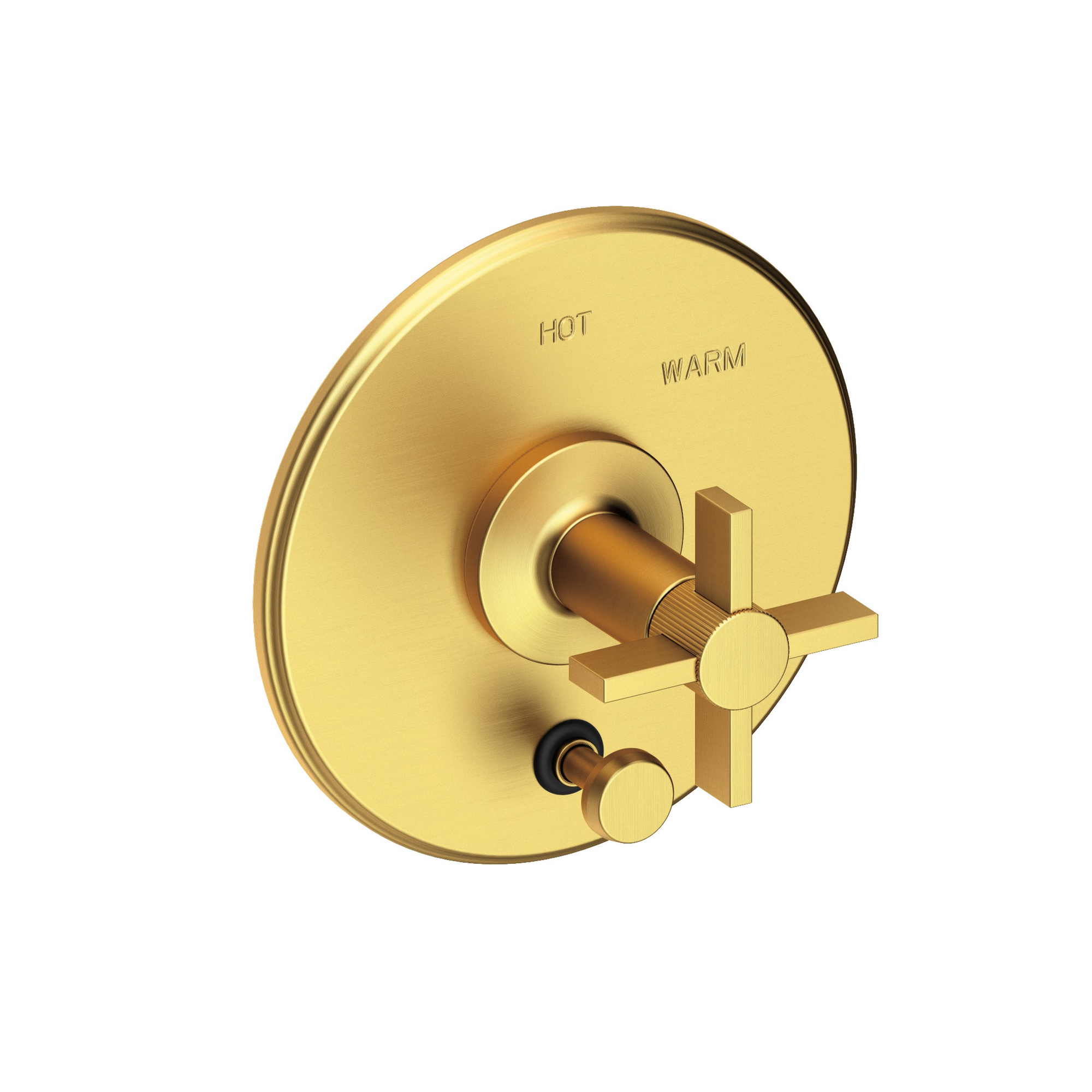 Newport Brass Pardees® Balanced Pressure Tub & Shower Diverter Plate with Handle