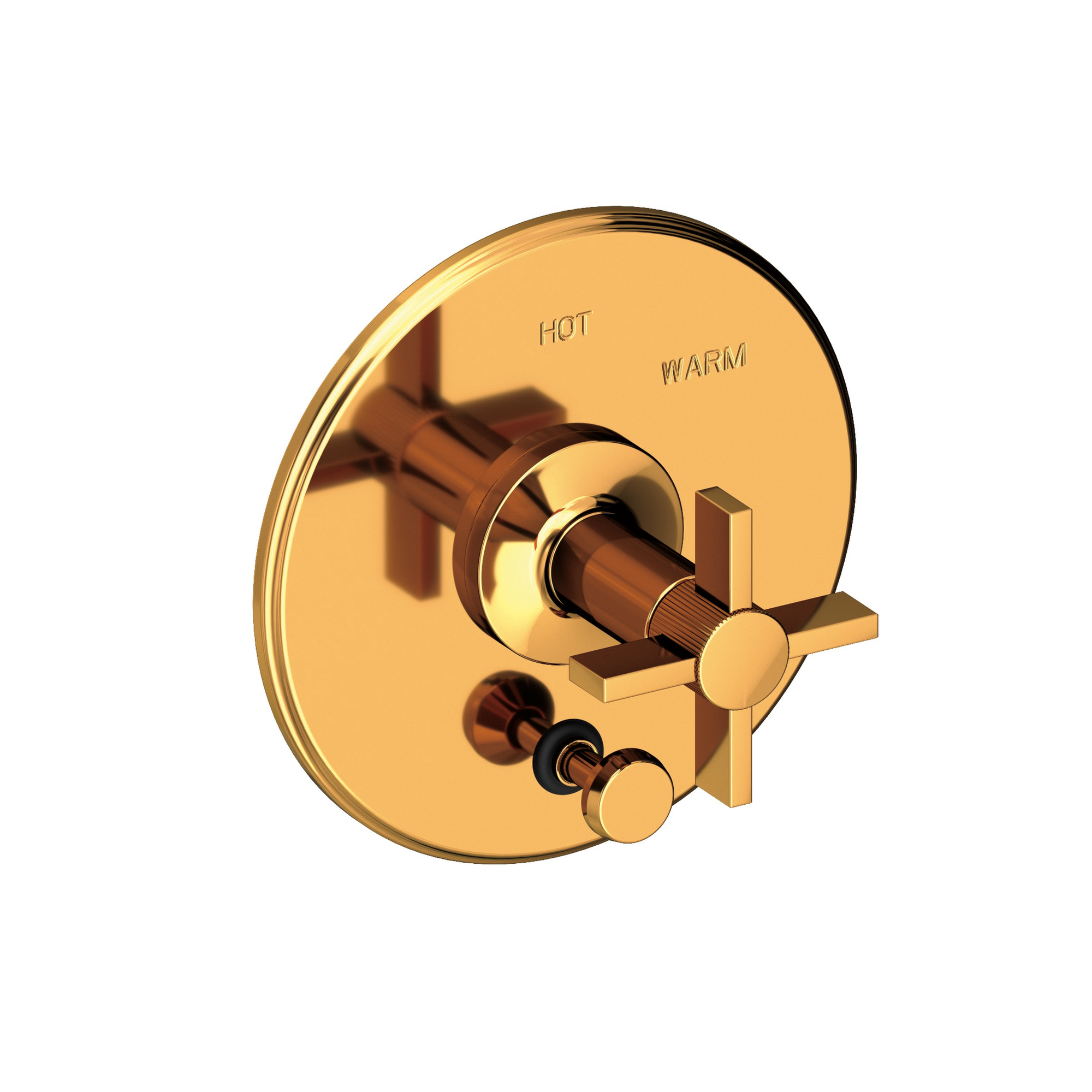Newport Brass Pardees® Balanced Pressure Tub & Shower Diverter Plate with Handle