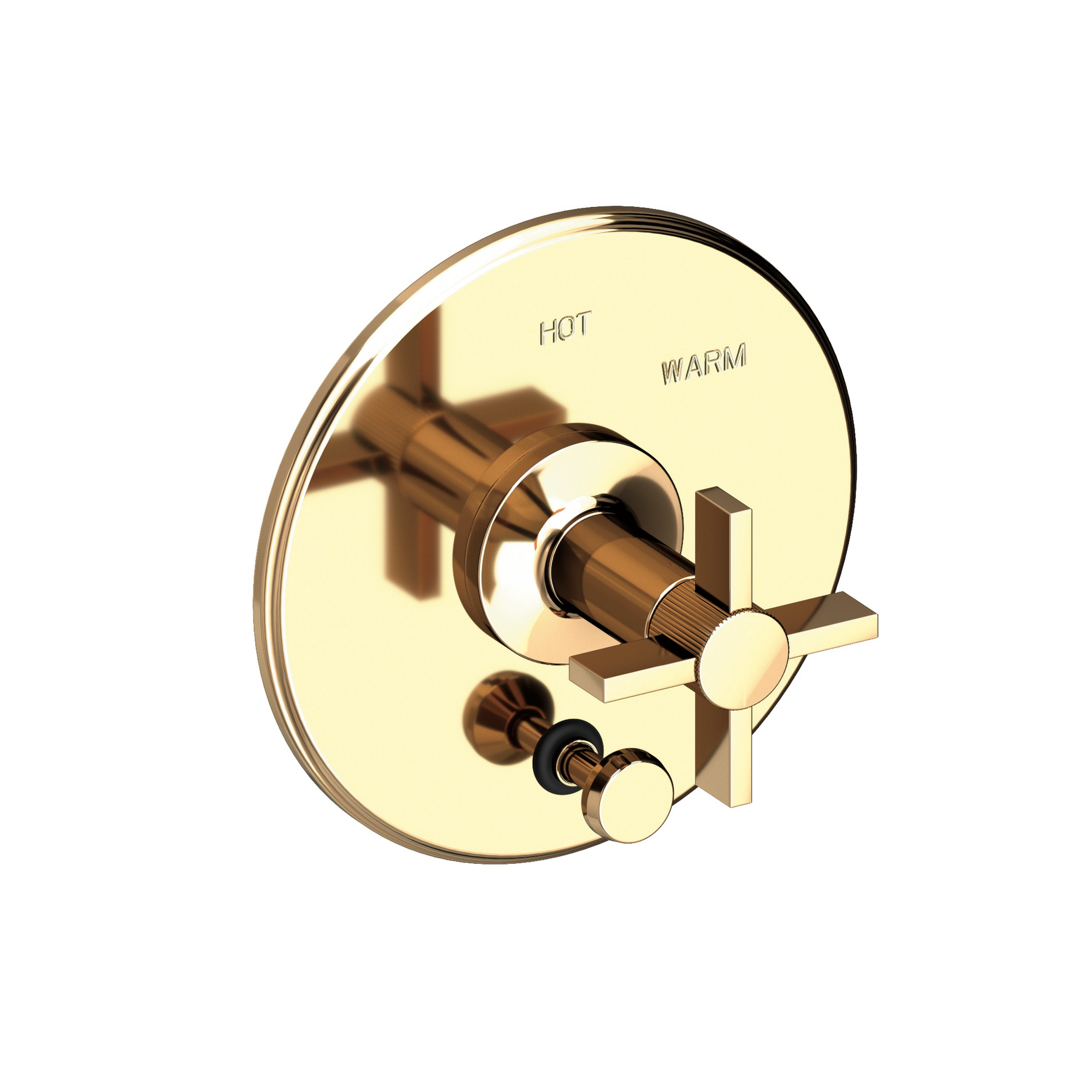 Newport Brass Pardees® Balanced Pressure Tub & Shower Diverter Plate with Handle