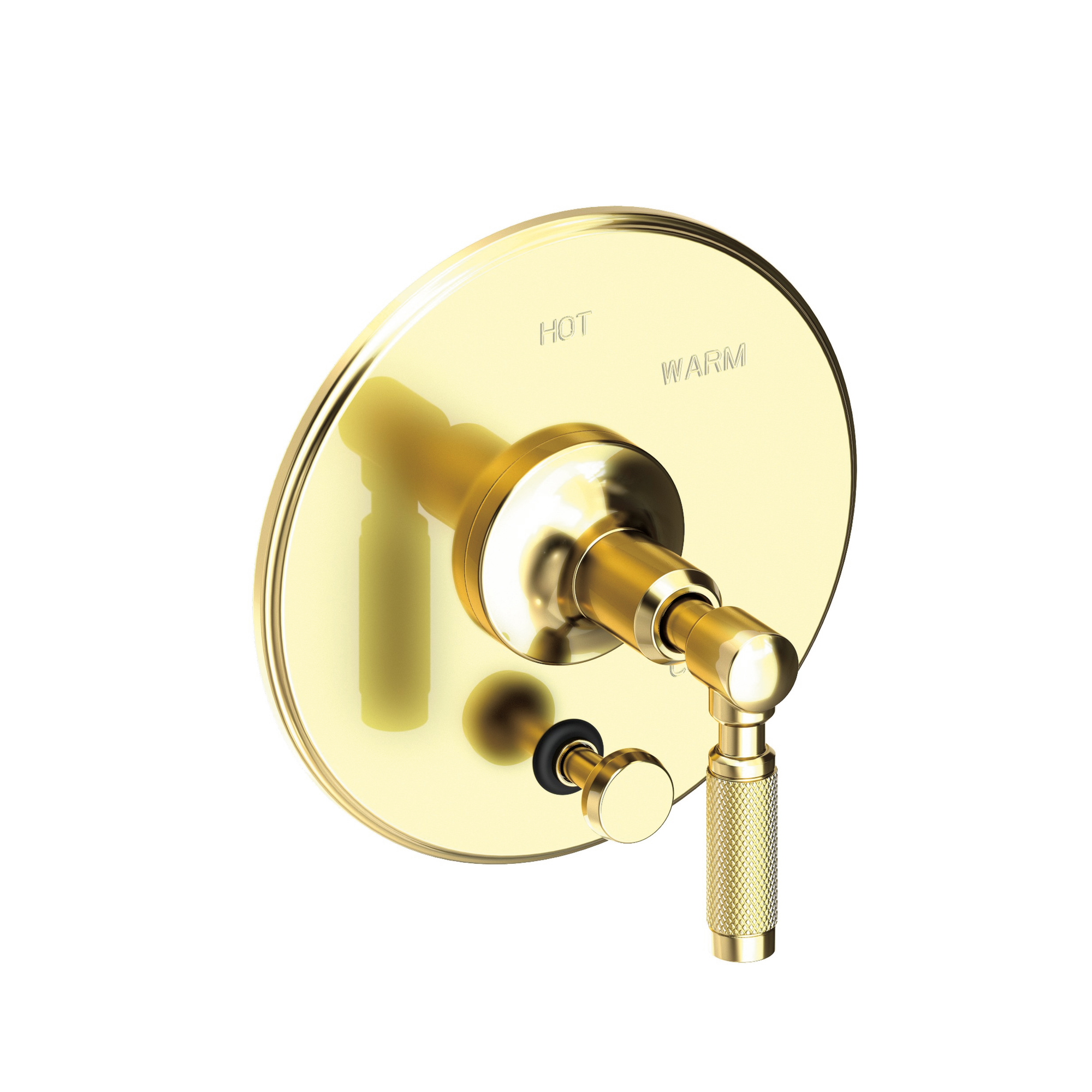 Newport Brass Clemens Balanced Pressure Tub & Shower Diverter Plate with Handle