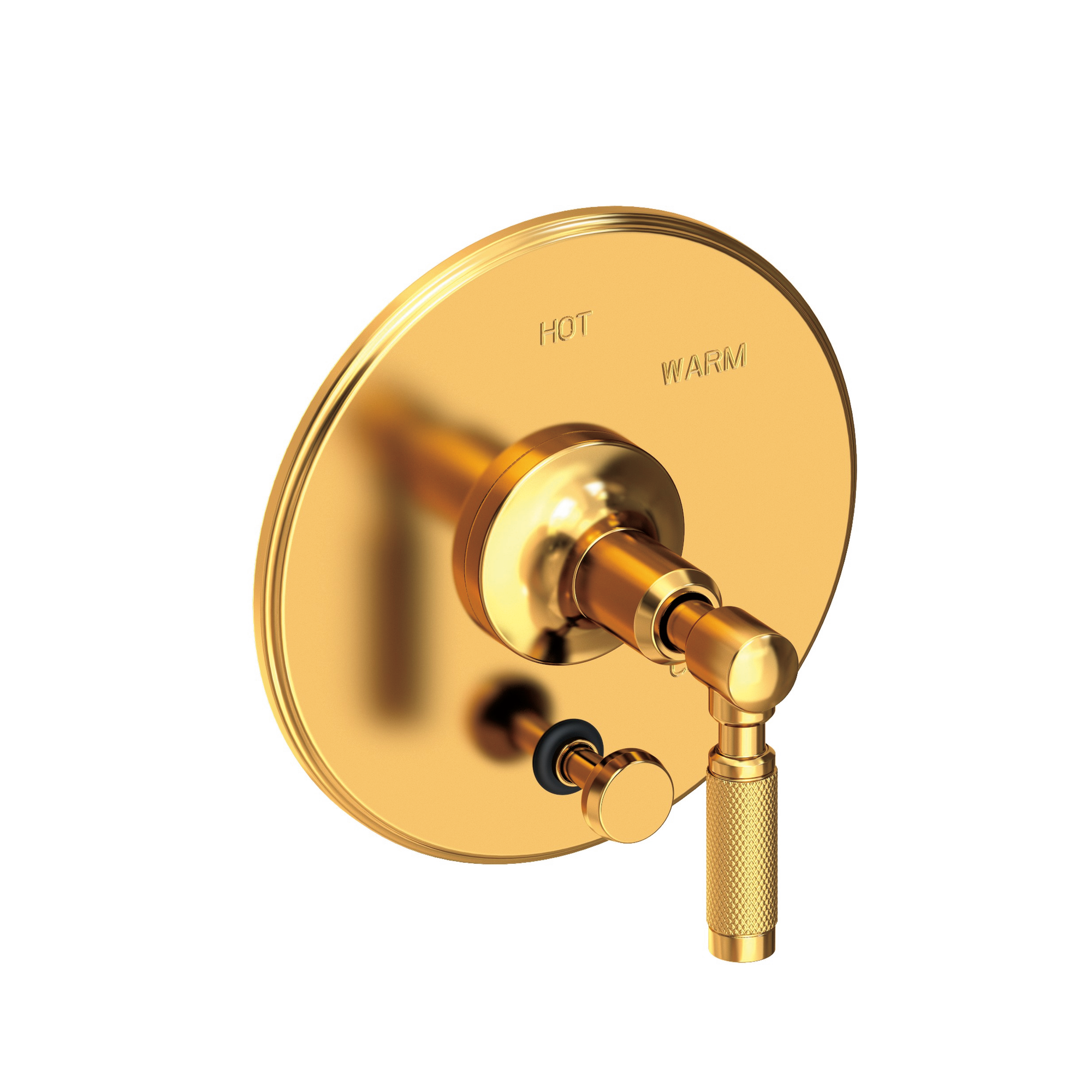 Newport Brass Clemens Balanced Pressure Tub & Shower Diverter Plate with Handle