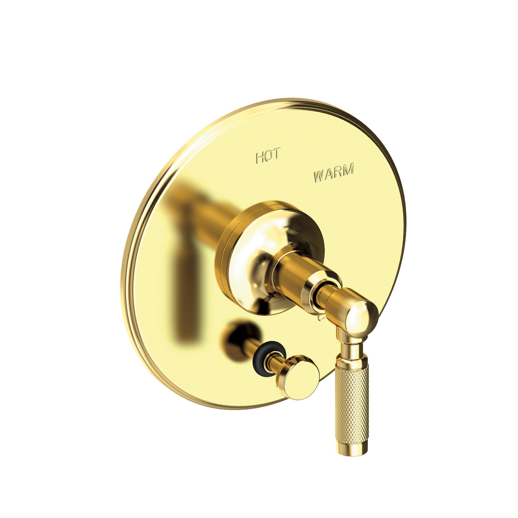 Newport Brass Clemens Balanced Pressure Tub & Shower Diverter Plate with Handle