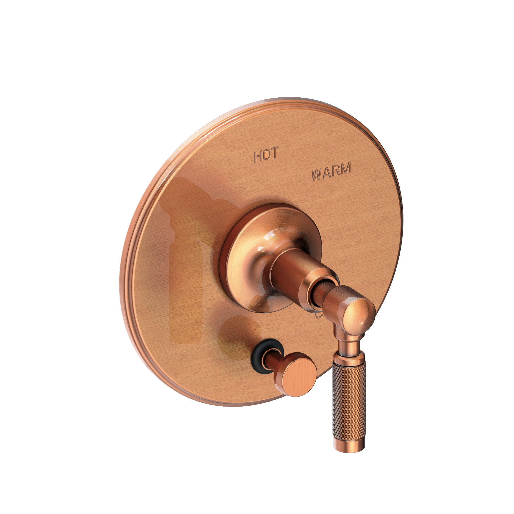 Newport Brass Clemens Balanced Pressure Tub & Shower Diverter Plate with Handle