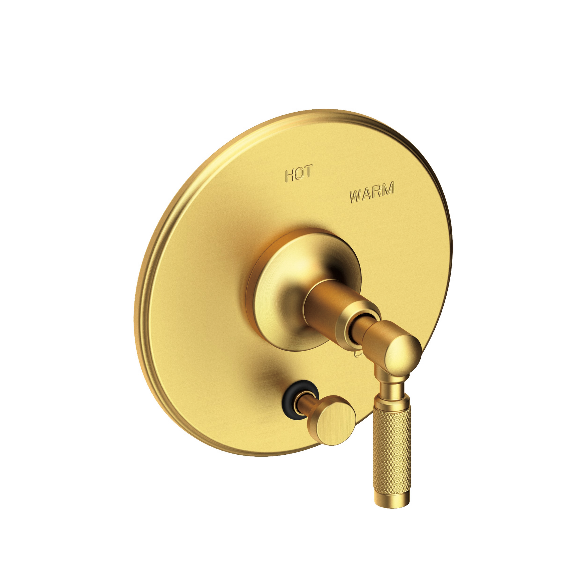 Newport Brass Clemens Balanced Pressure Tub & Shower Diverter Plate with Handle
