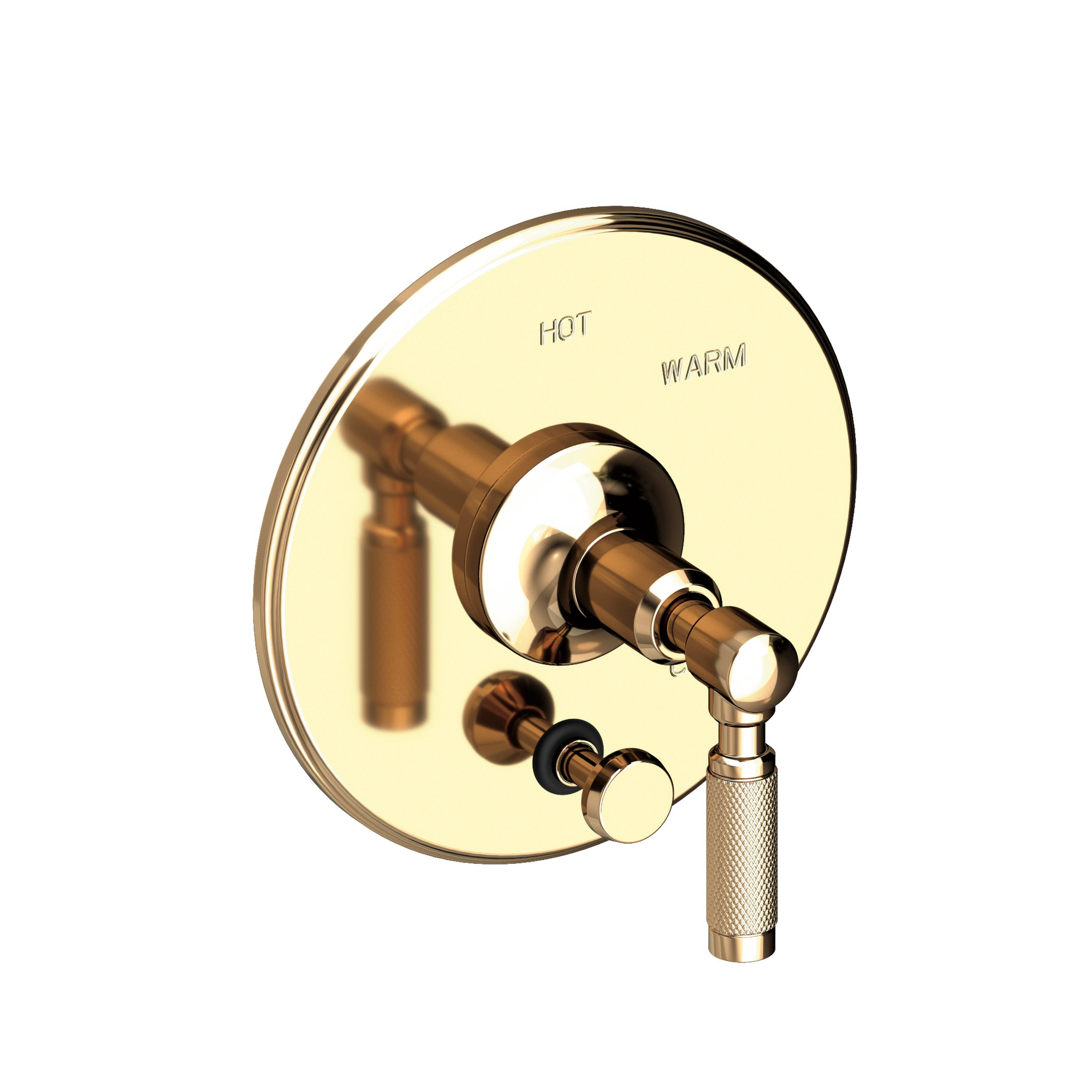 Newport Brass Clemens Balanced Pressure Tub & Shower Diverter Plate with Handle