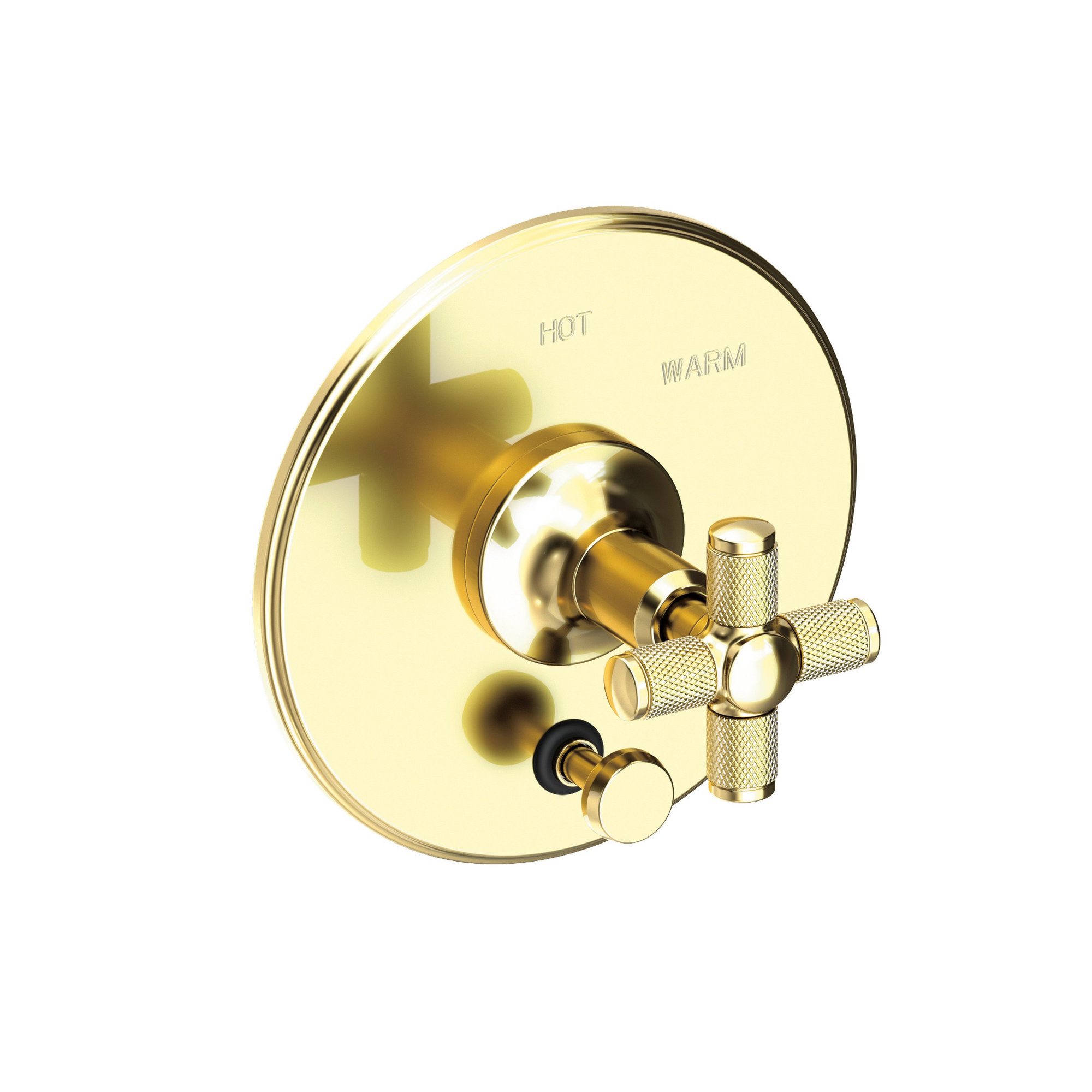 Newport Brass Clemens Balanced Pressure Tub & Shower Diverter Plate with Handle