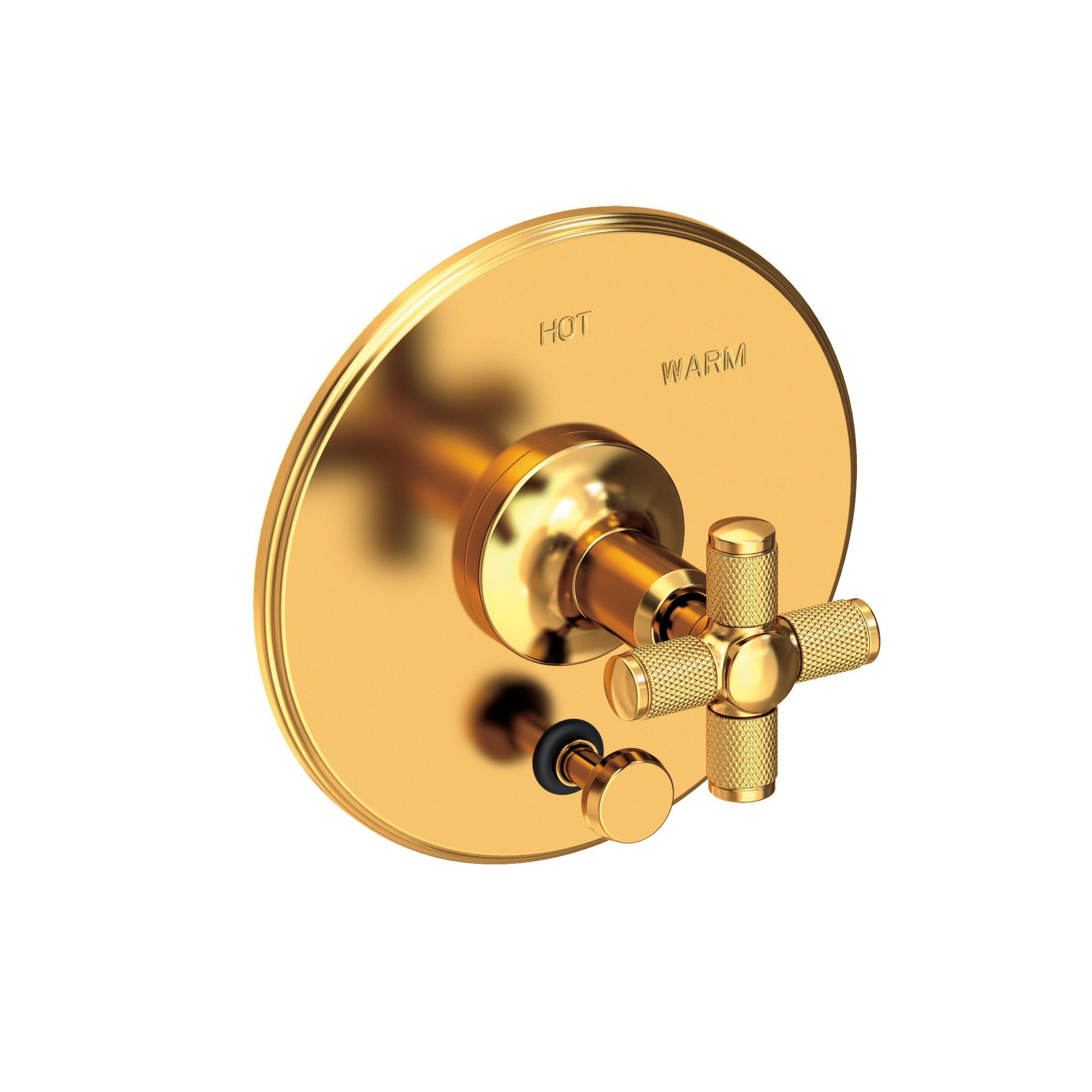 Newport Brass Clemens Balanced Pressure Tub & Shower Diverter Plate with Handle
