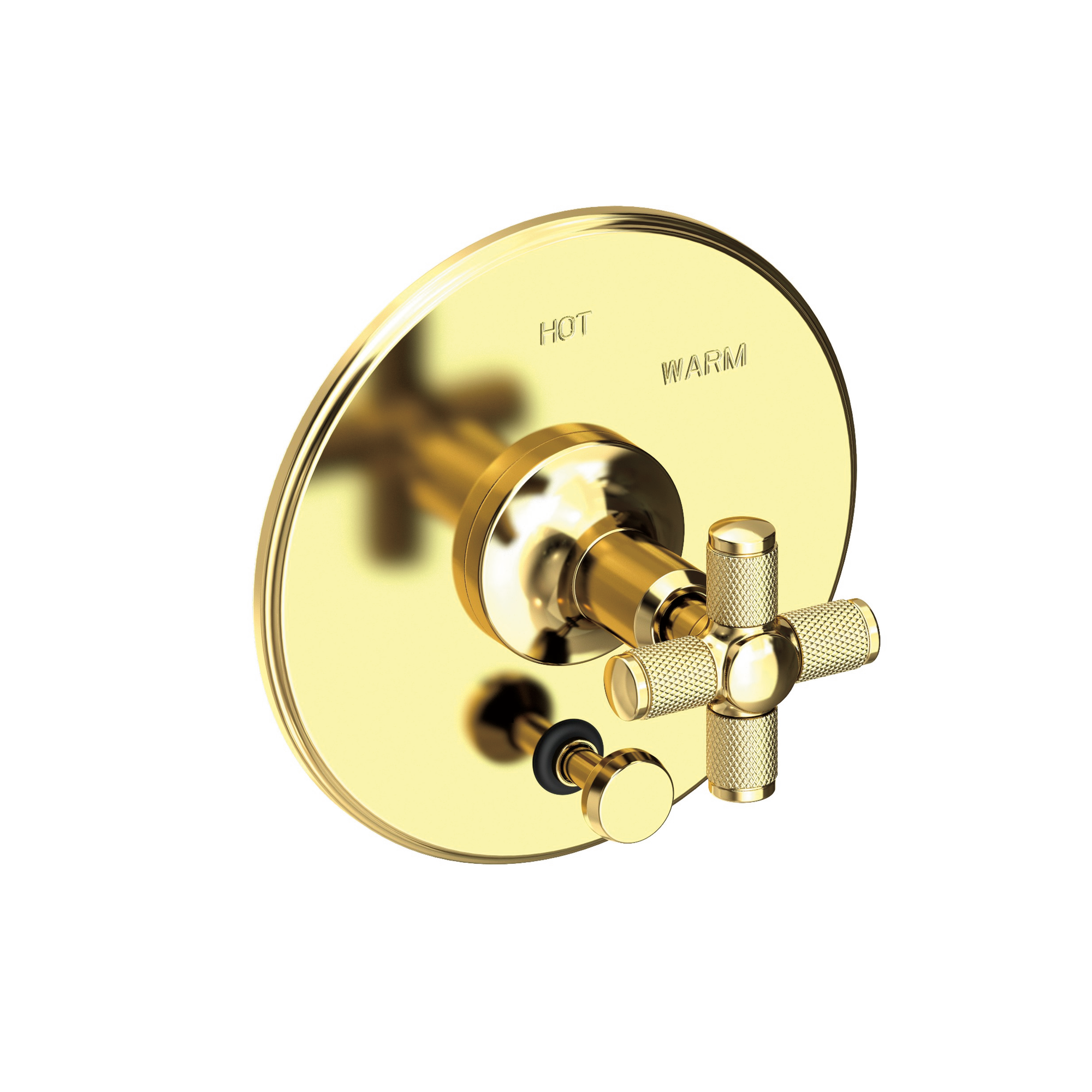 Newport Brass Clemens Balanced Pressure Tub & Shower Diverter Plate with Handle