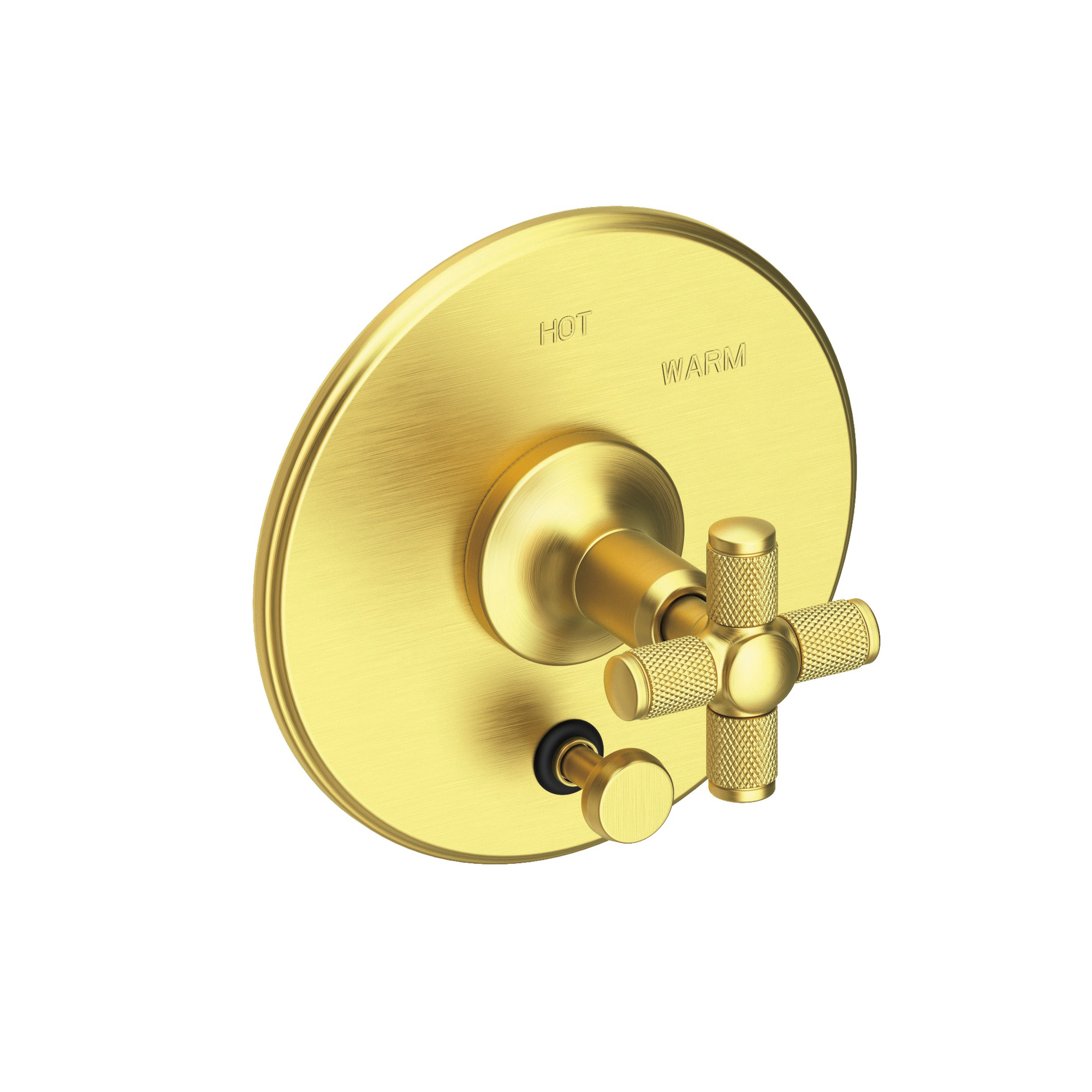 Newport Brass Clemens Balanced Pressure Tub & Shower Diverter Plate with Handle