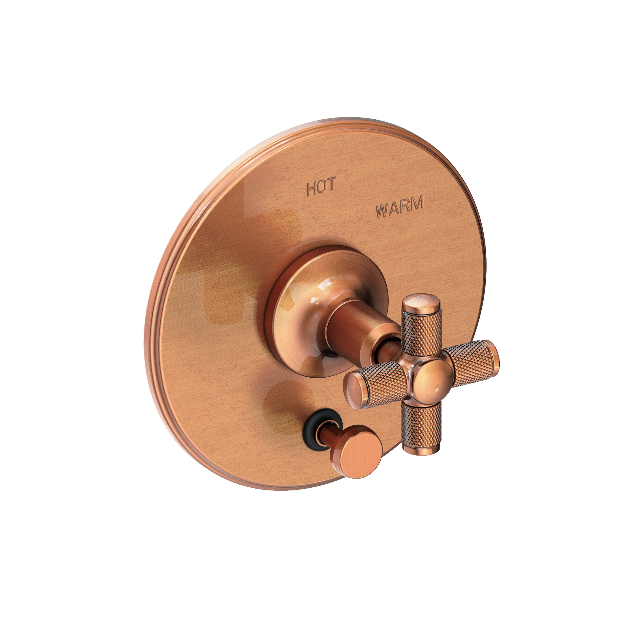 Newport Brass Clemens Balanced Pressure Tub & Shower Diverter Plate with Handle