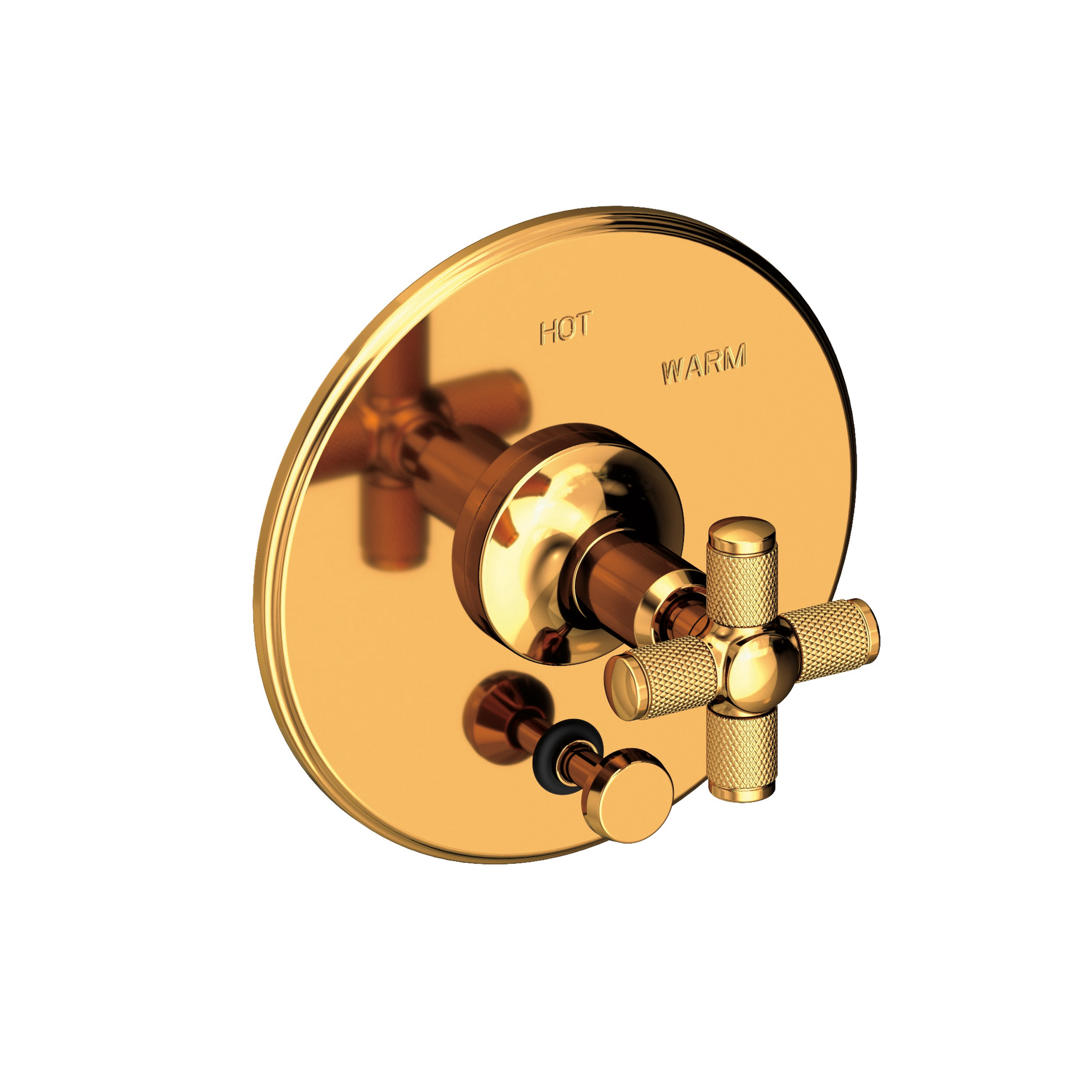 Newport Brass Clemens Balanced Pressure Tub & Shower Diverter Plate with Handle