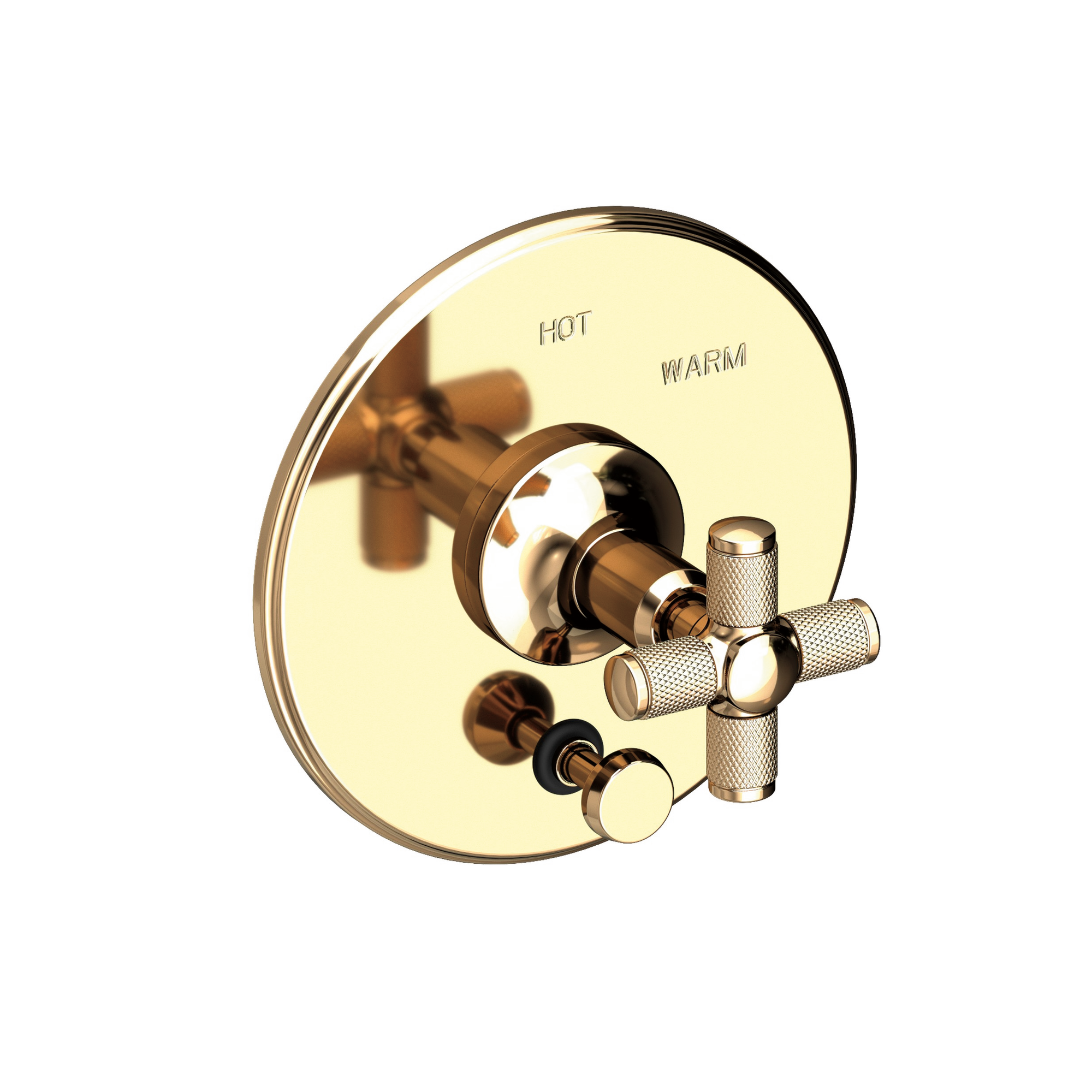Newport Brass Clemens Balanced Pressure Tub & Shower Diverter Plate with Handle