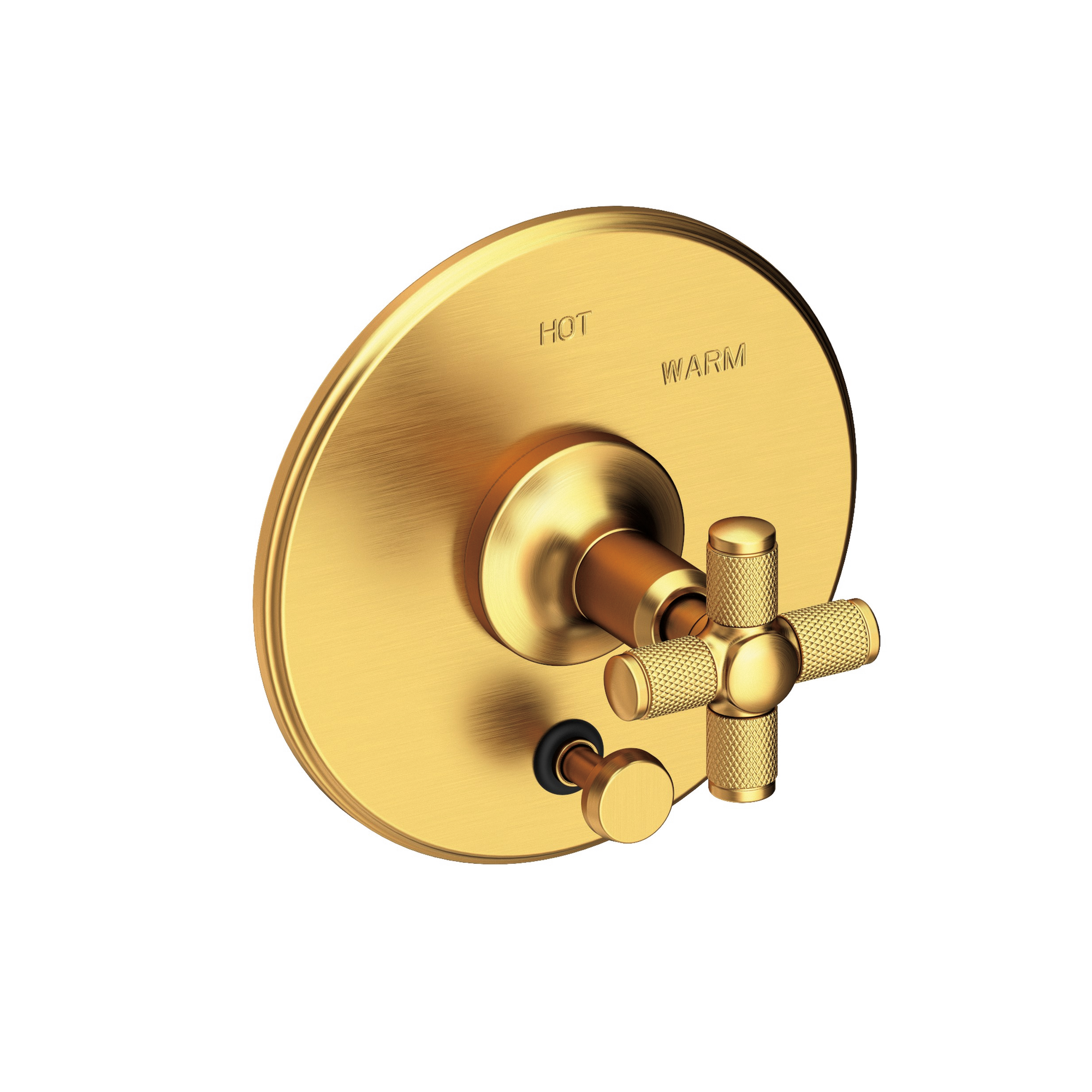 Newport Brass Clemens Balanced Pressure Tub & Shower Diverter Plate with Handle