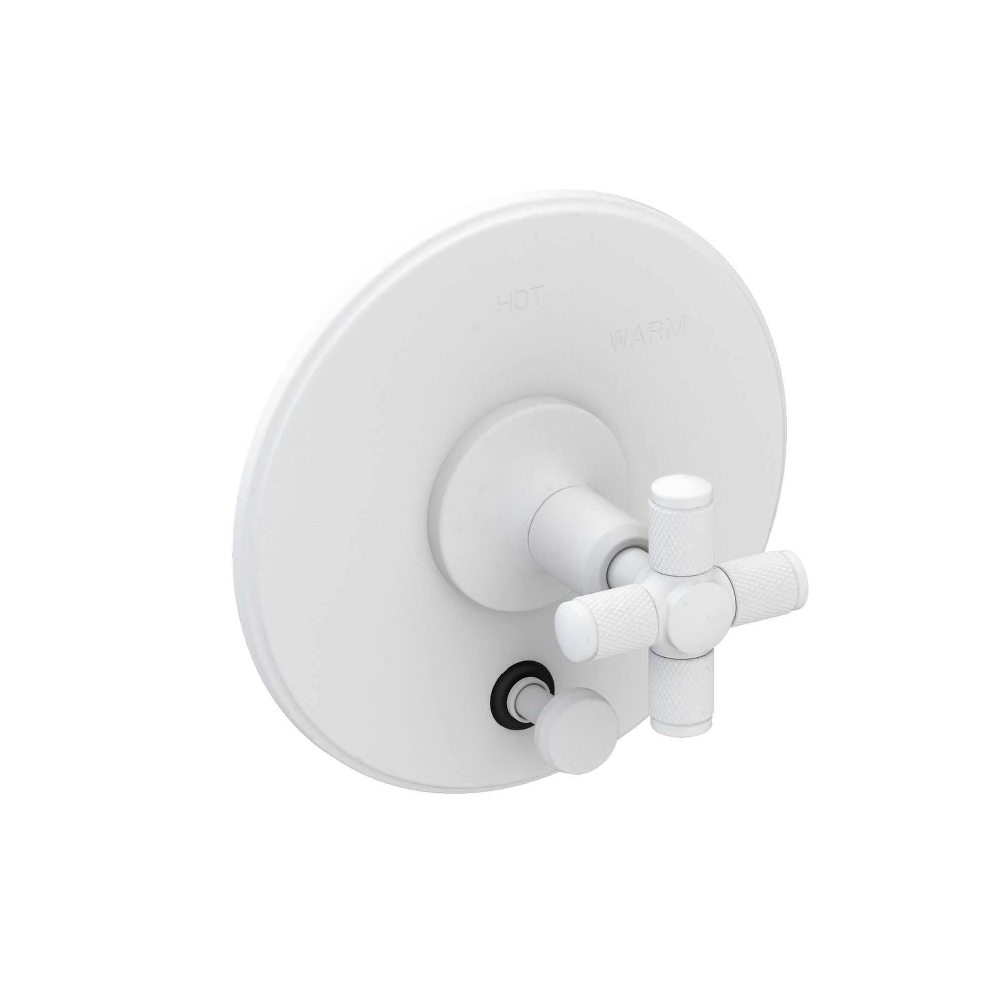 Newport Brass Clemens Balanced Pressure Tub & Shower Diverter Plate with Handle