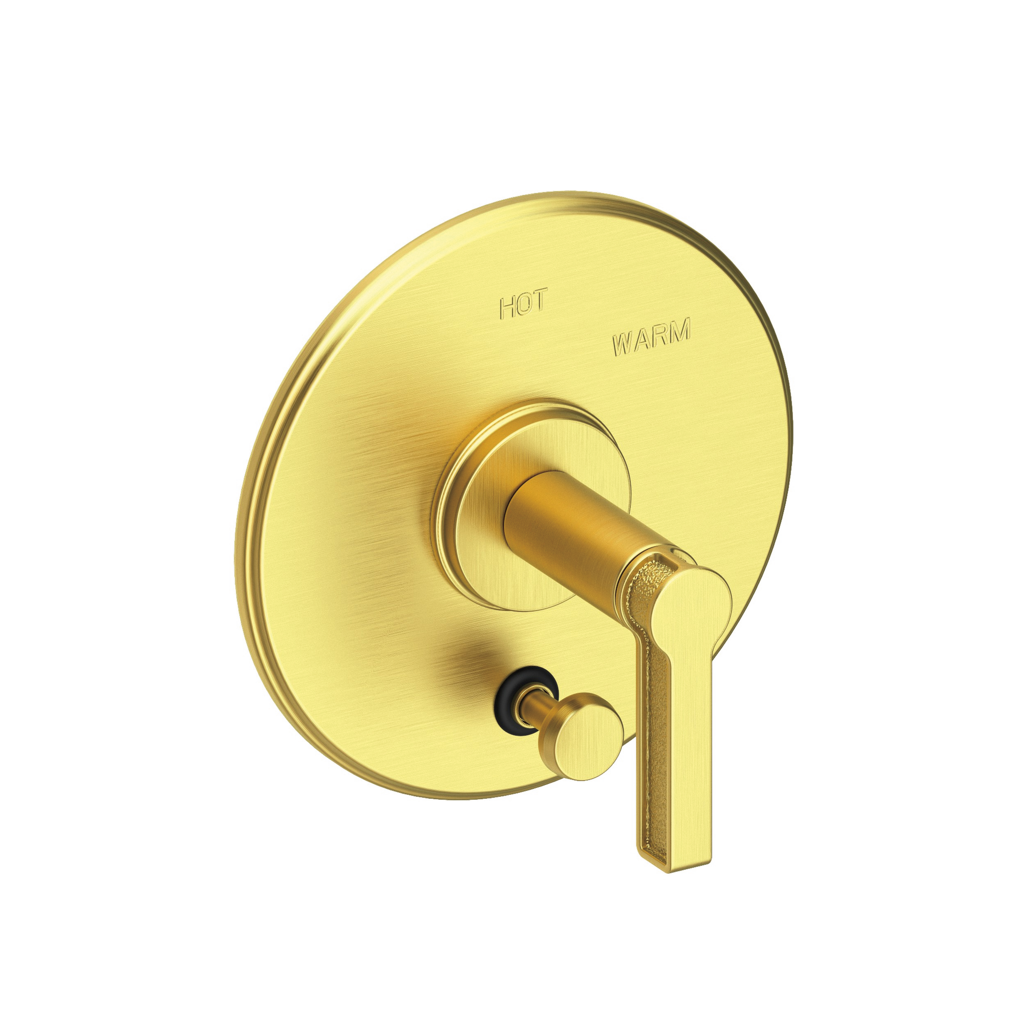 Newport Brass Griffey Balanced Pressure Tub & Shower Diverter Plate with Handle