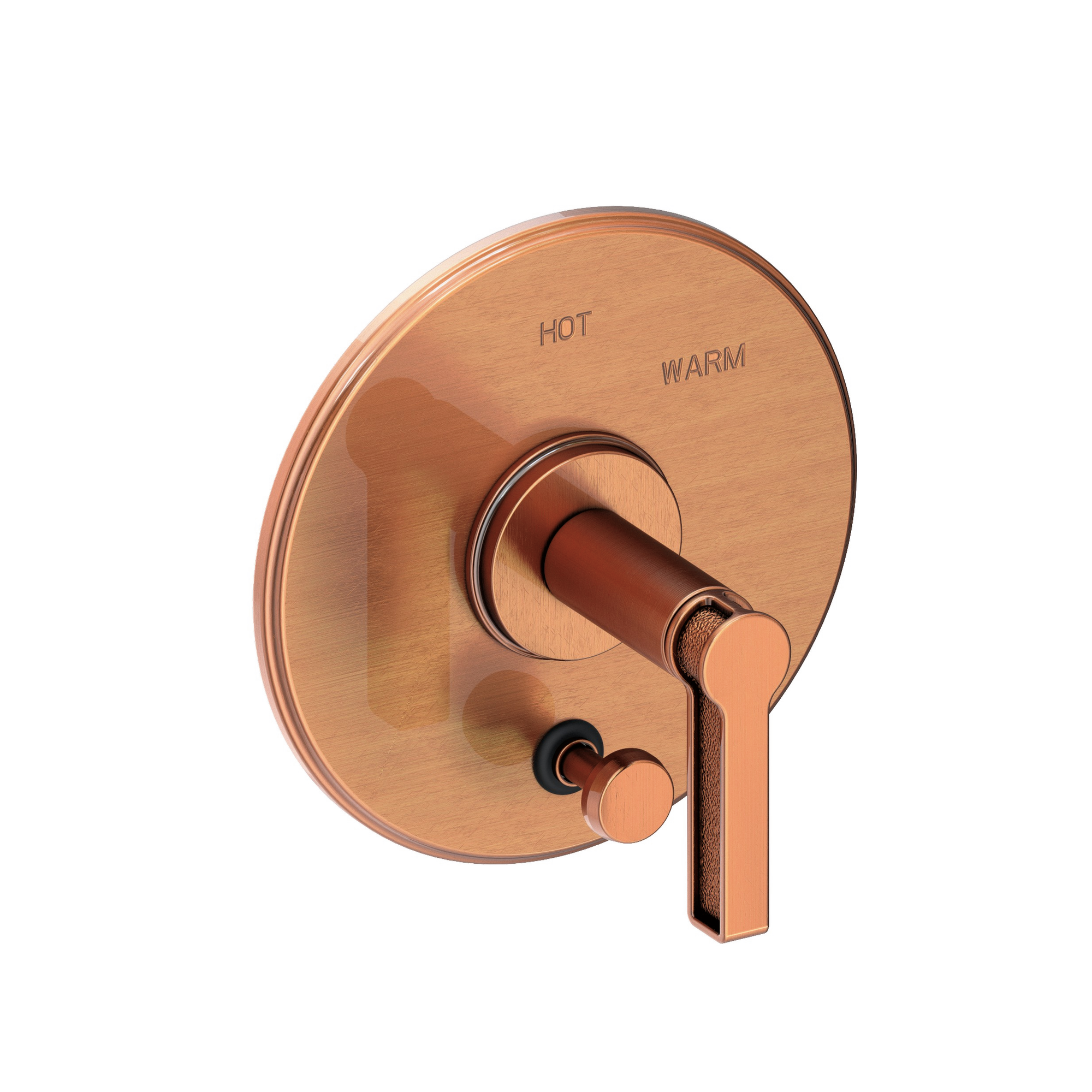 Newport Brass Griffey Balanced Pressure Tub & Shower Diverter Plate with Handle
