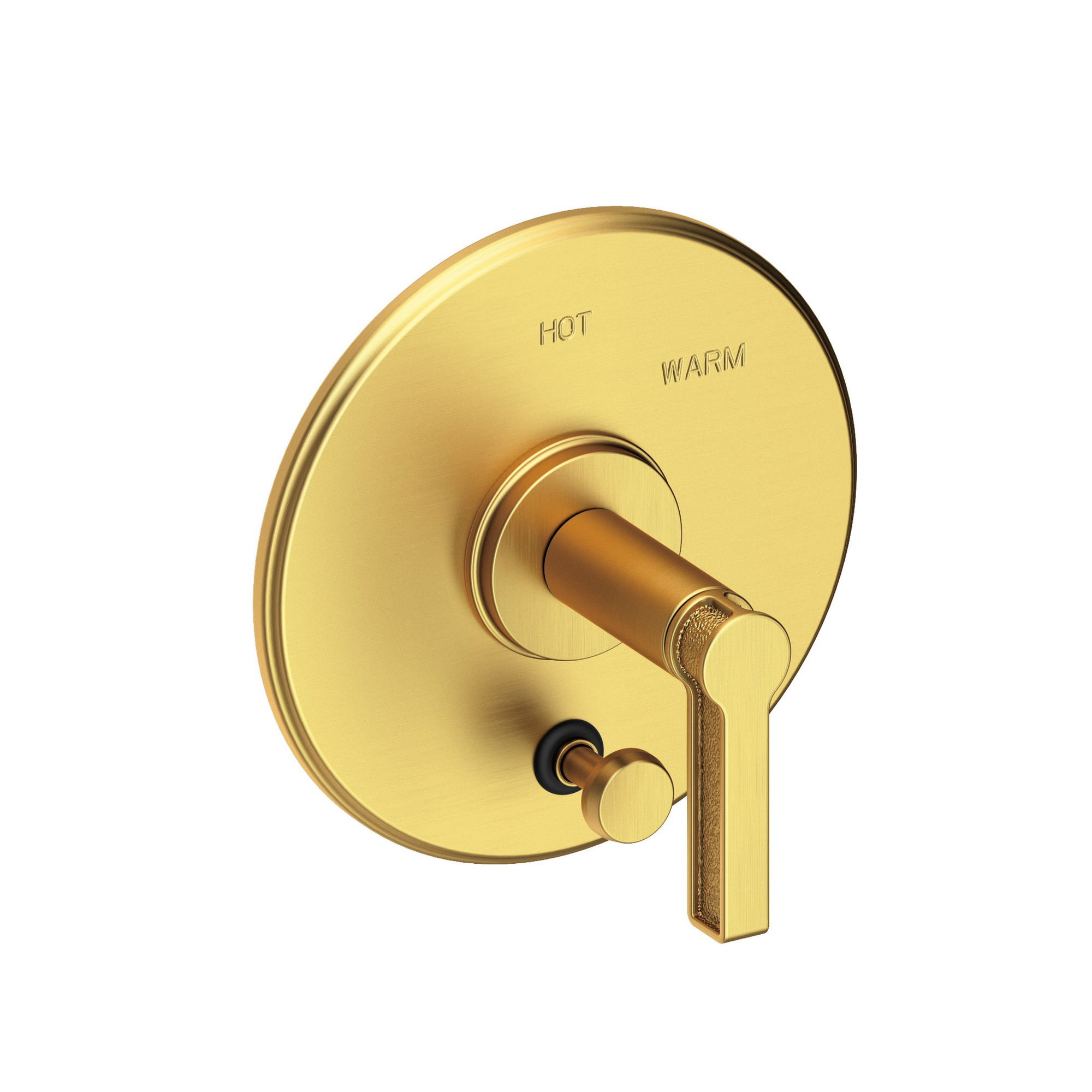 Newport Brass Griffey Balanced Pressure Tub & Shower Diverter Plate with Handle