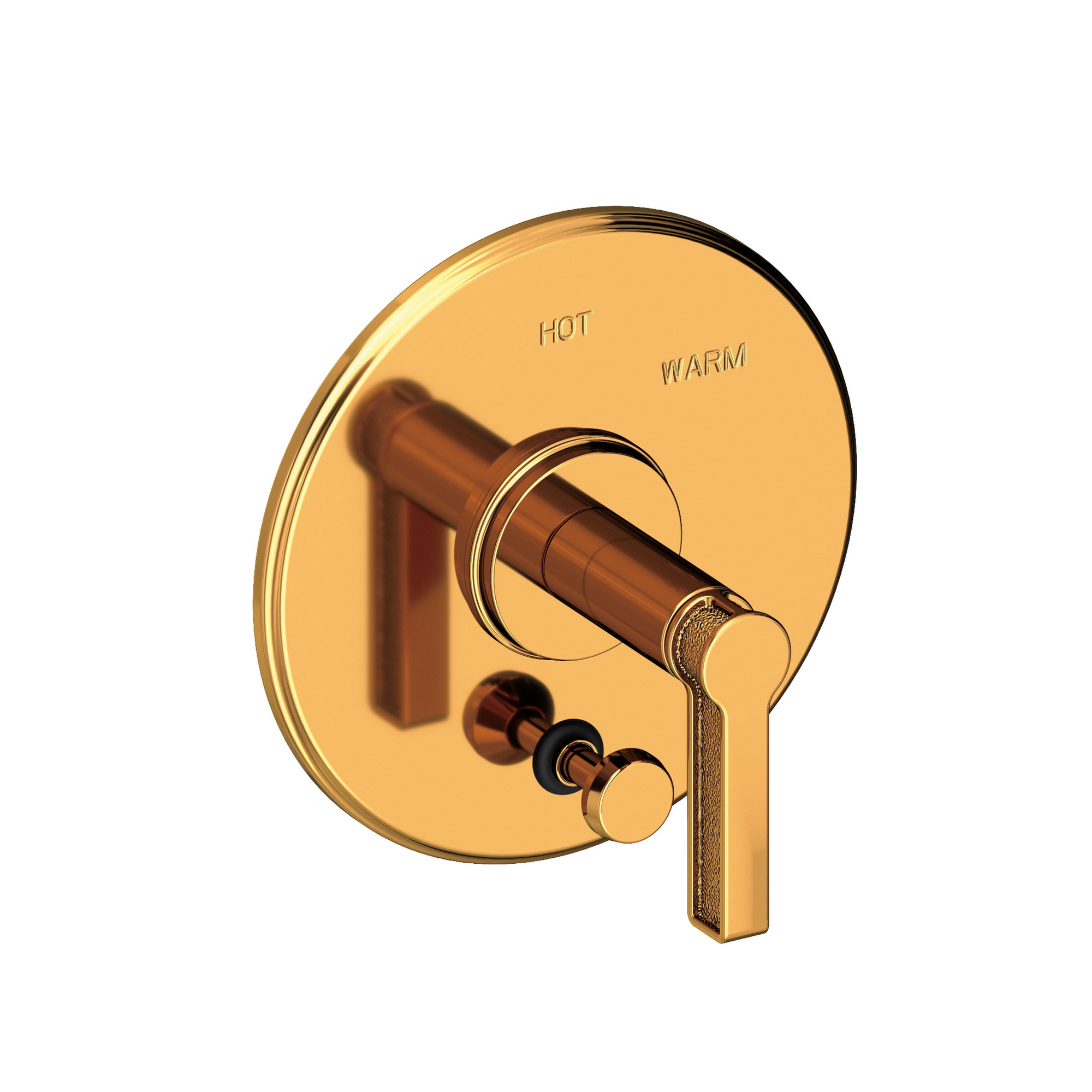 Newport Brass Griffey Balanced Pressure Tub & Shower Diverter Plate with Handle