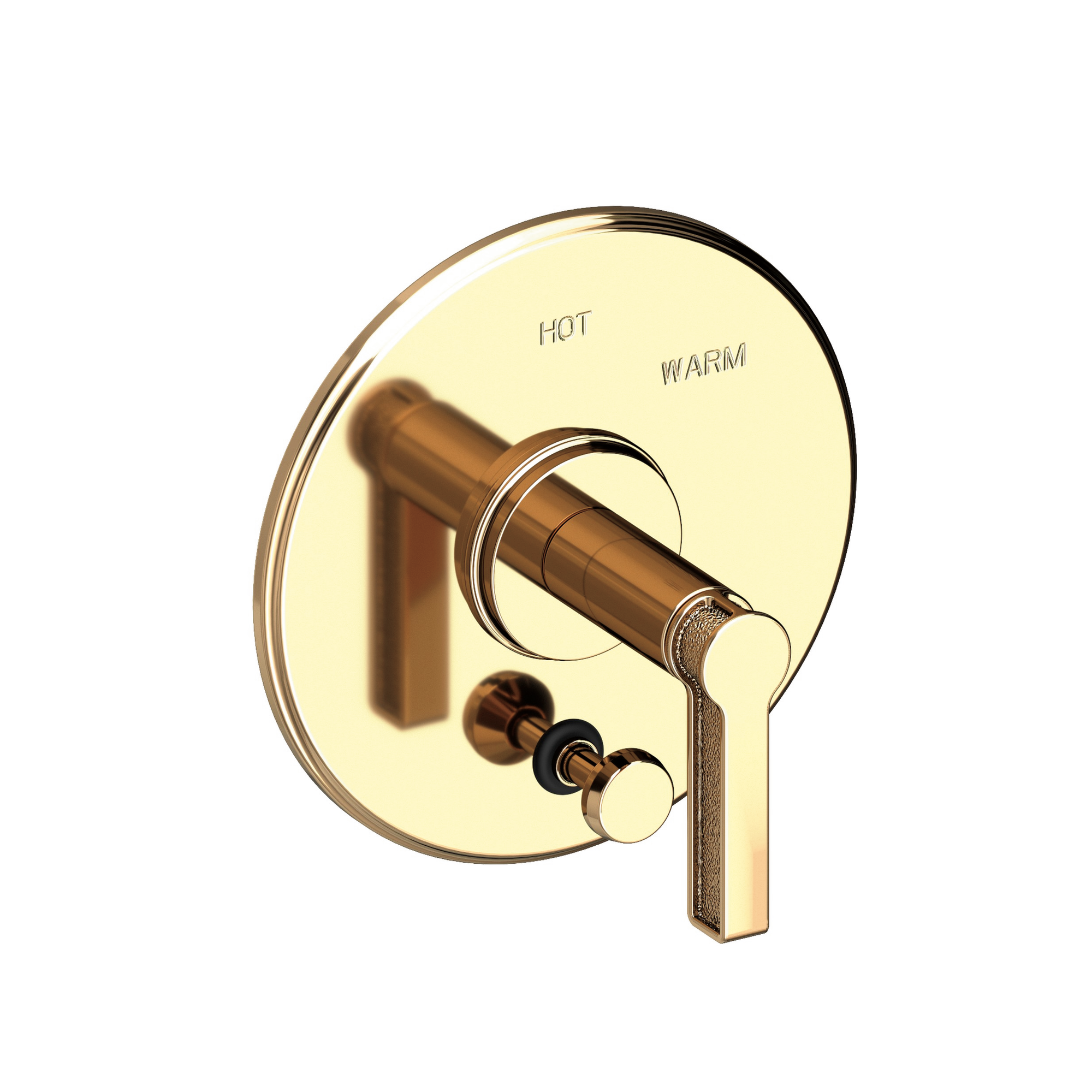 Newport Brass Griffey Balanced Pressure Tub & Shower Diverter Plate with Handle
