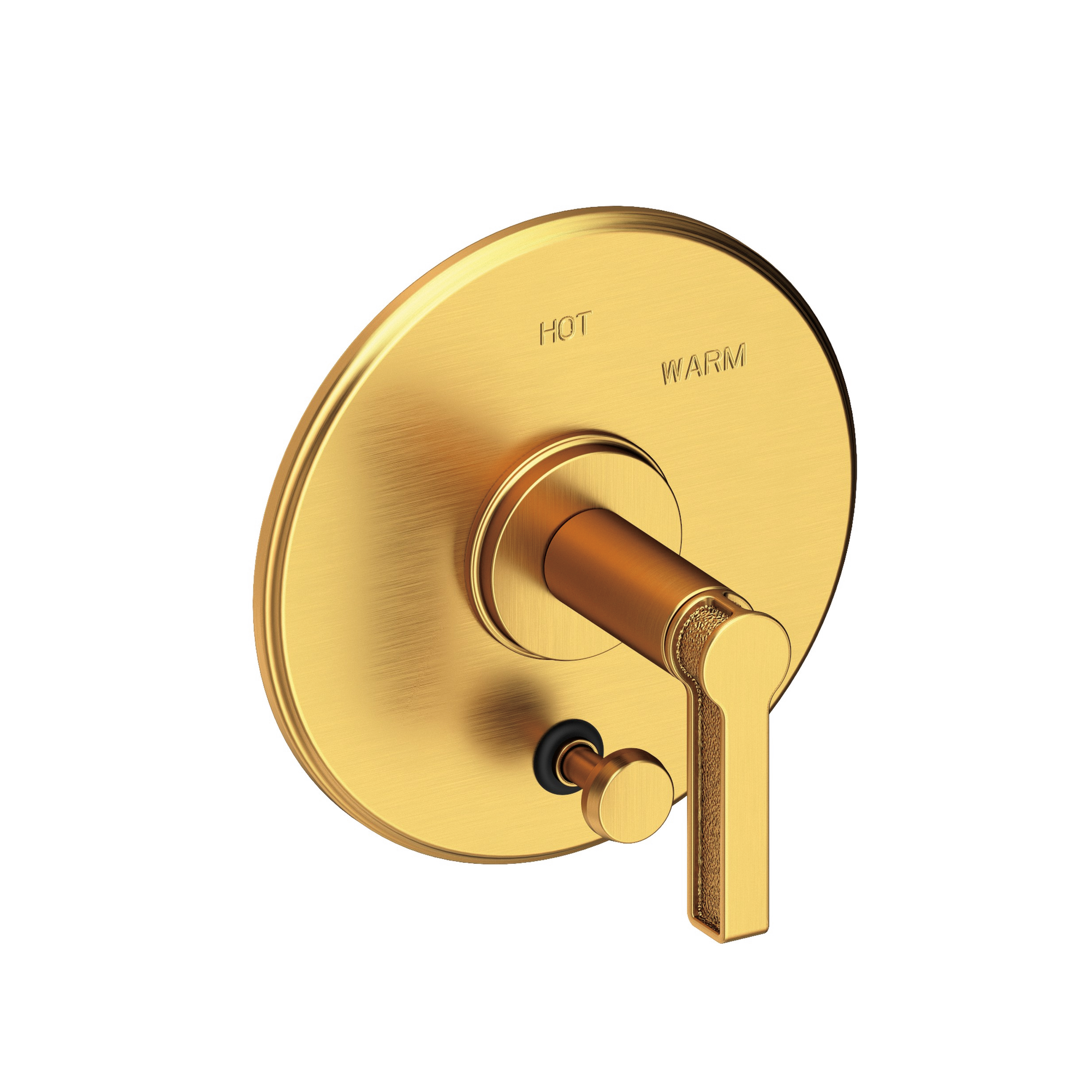 Newport Brass Griffey Balanced Pressure Tub & Shower Diverter Plate with Handle